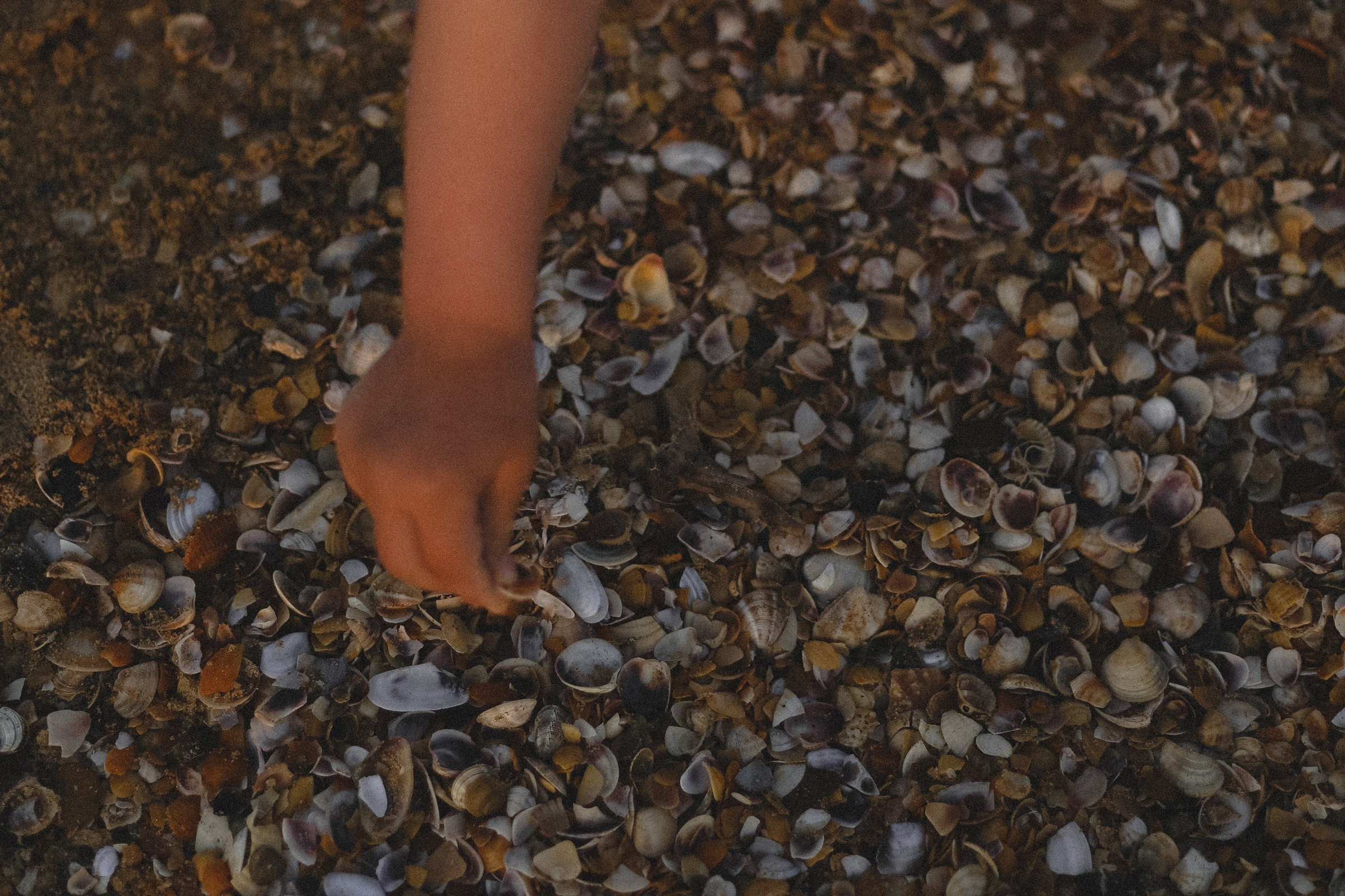 Семейная фотосессия на пляже. Семейный, love story, свадебный фотограф Анапа