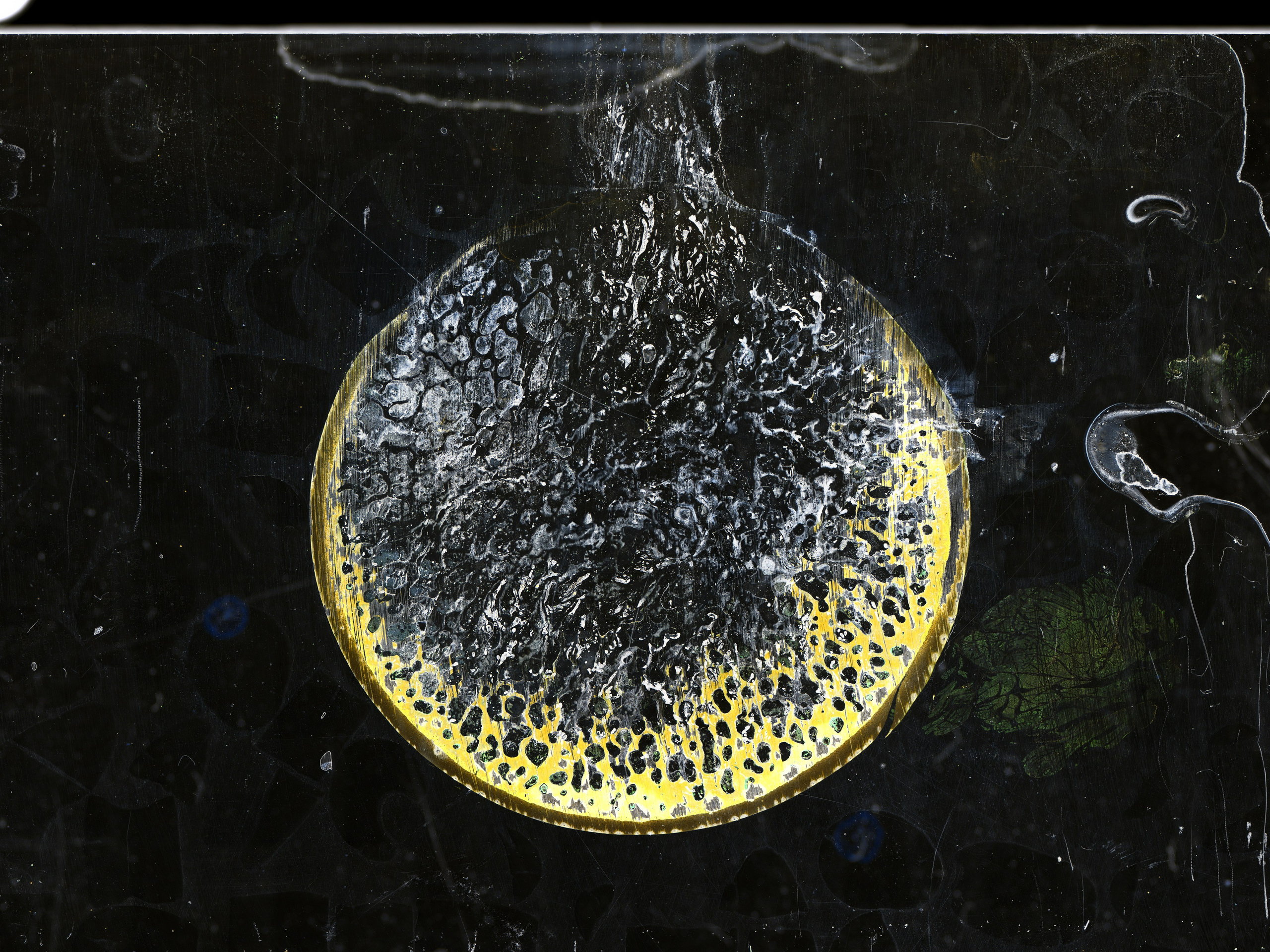 Три космоса. Фотограф Михаил Стенин