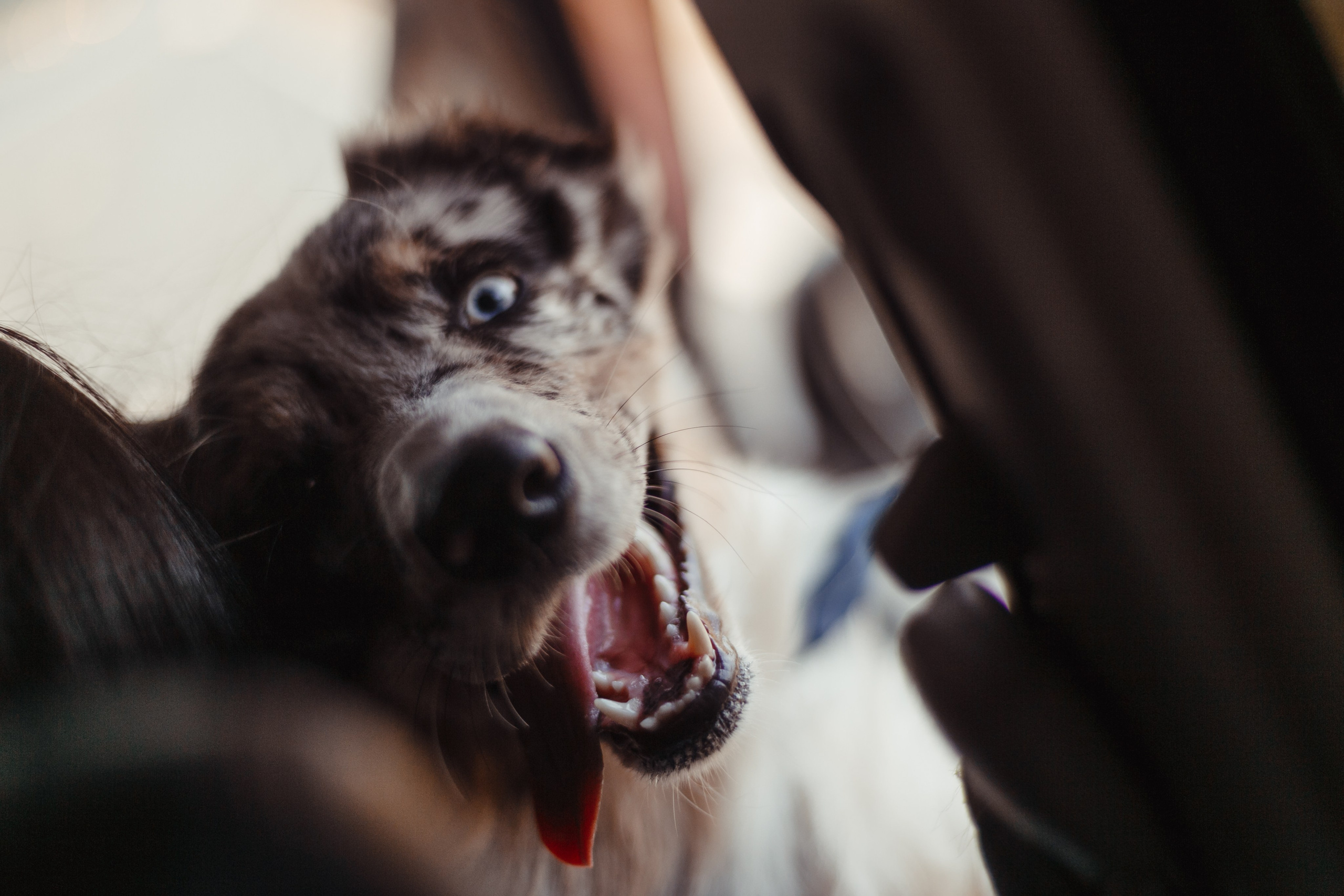 Mike. PHOTOGRAPHER romanoff-egor