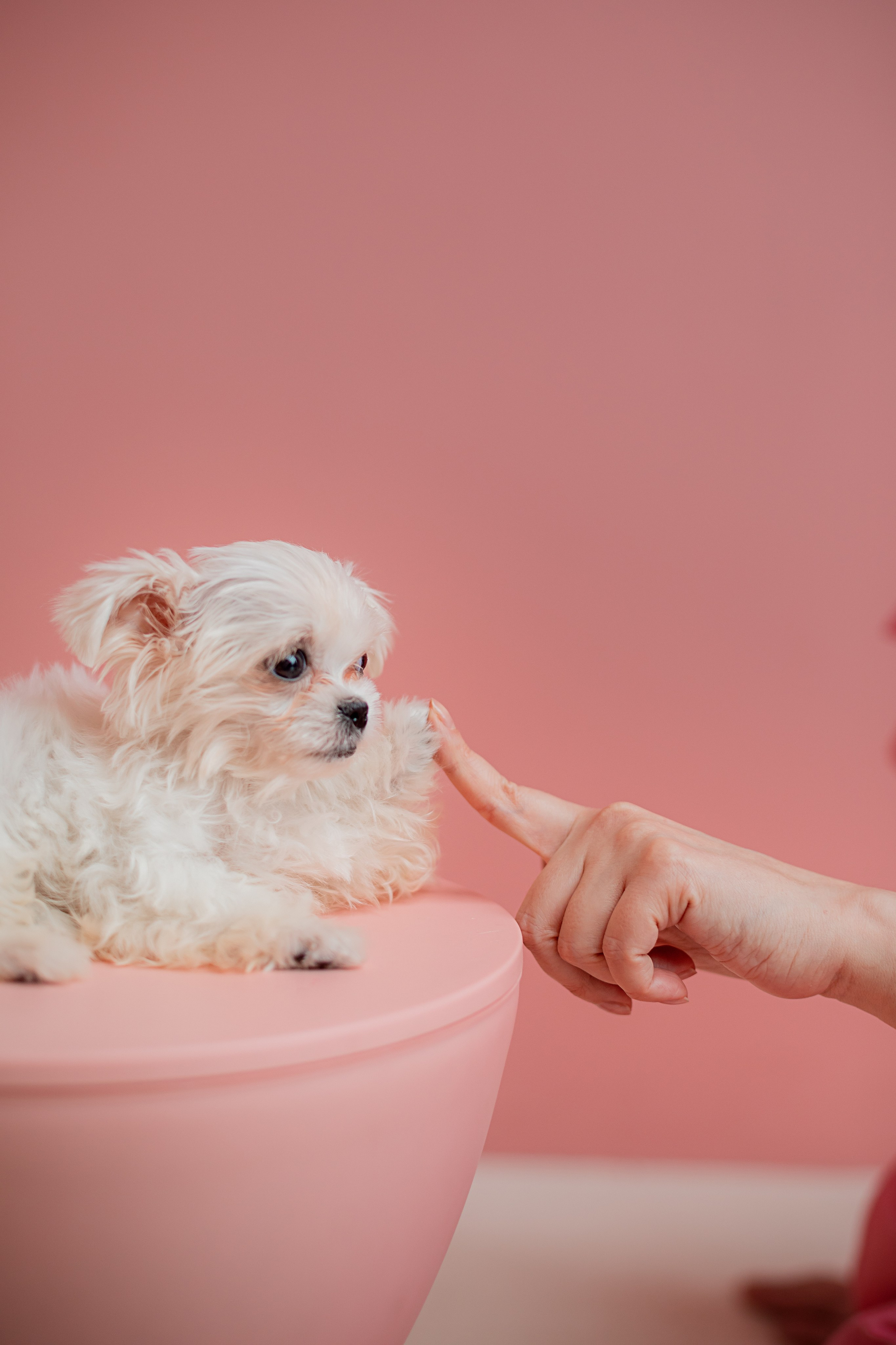КОНТЕНТ. Семейный фотограф в Москве выпускные альбомы Клюковская Надежда