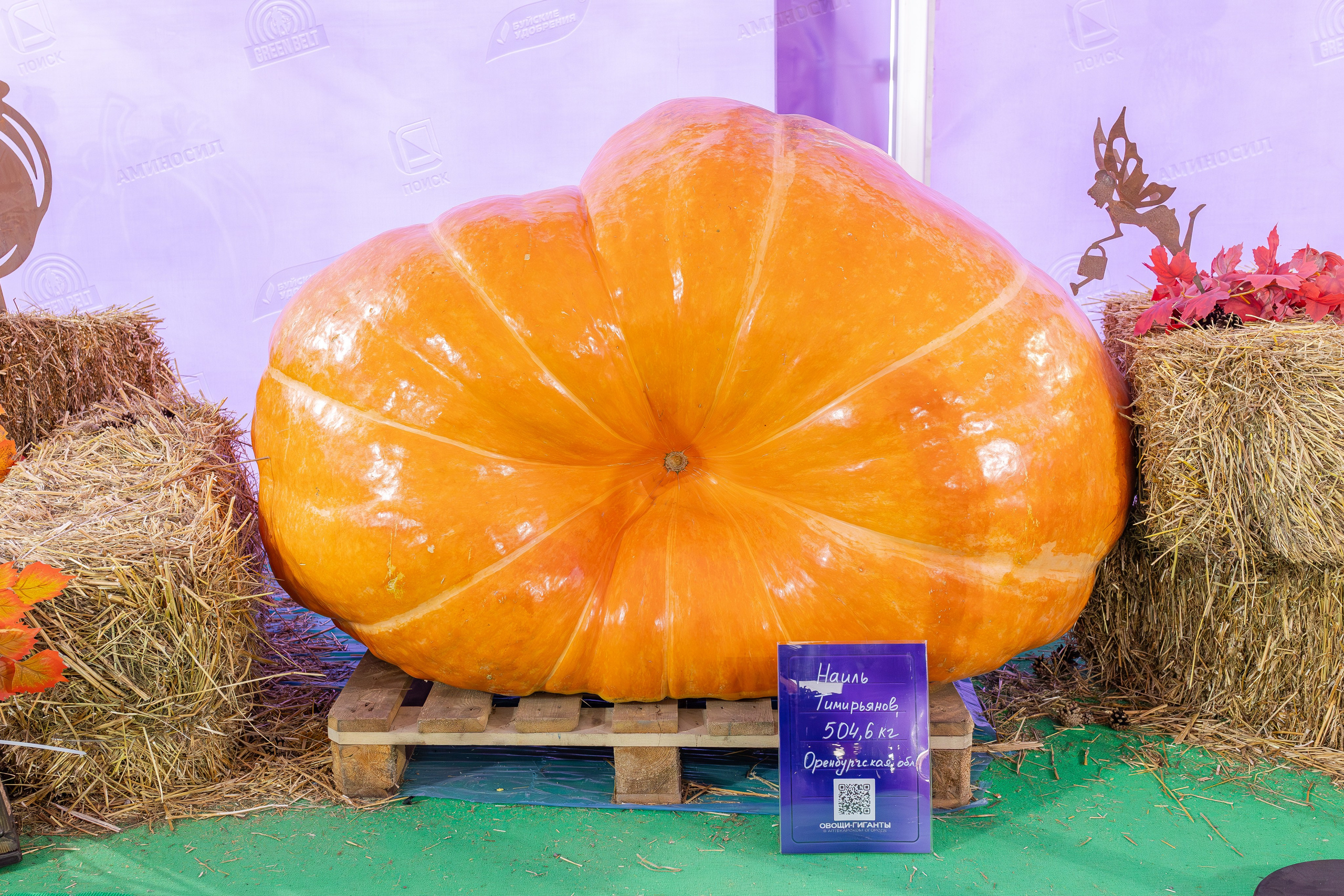 Овощи-гиганты. Александра Куликова фотограф, Москва