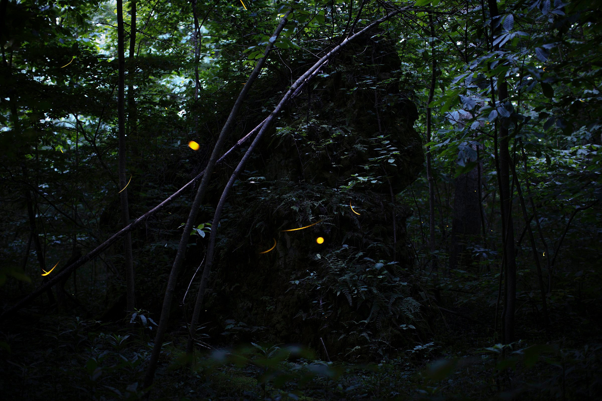 Понедельник 1. Вначале ничего не было…. …