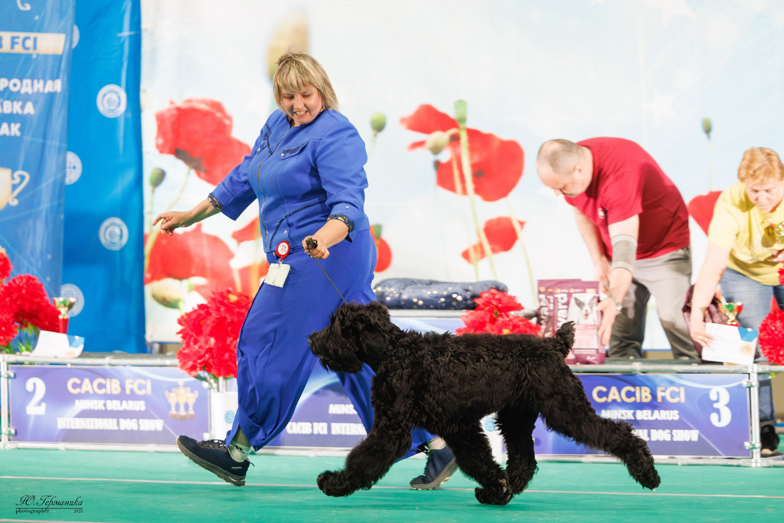 Минск 31.05-1.06.2025. Фотограф-анималист Юлия Германика