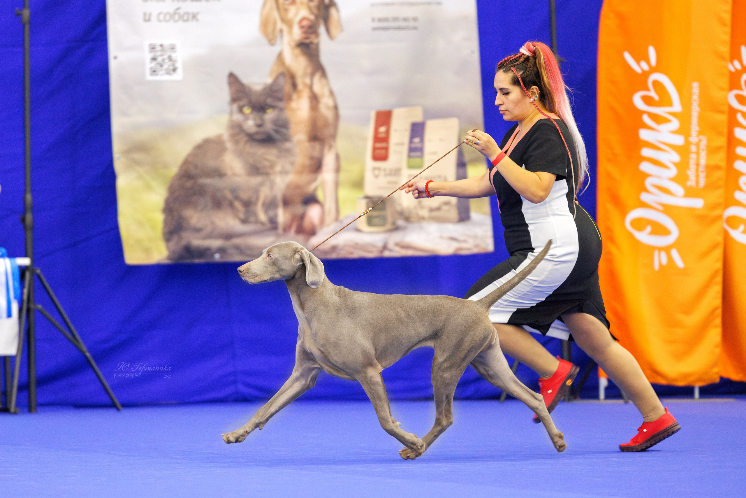 Питер 12-13.12.2025. Фотограф-анималист Юлия Германика