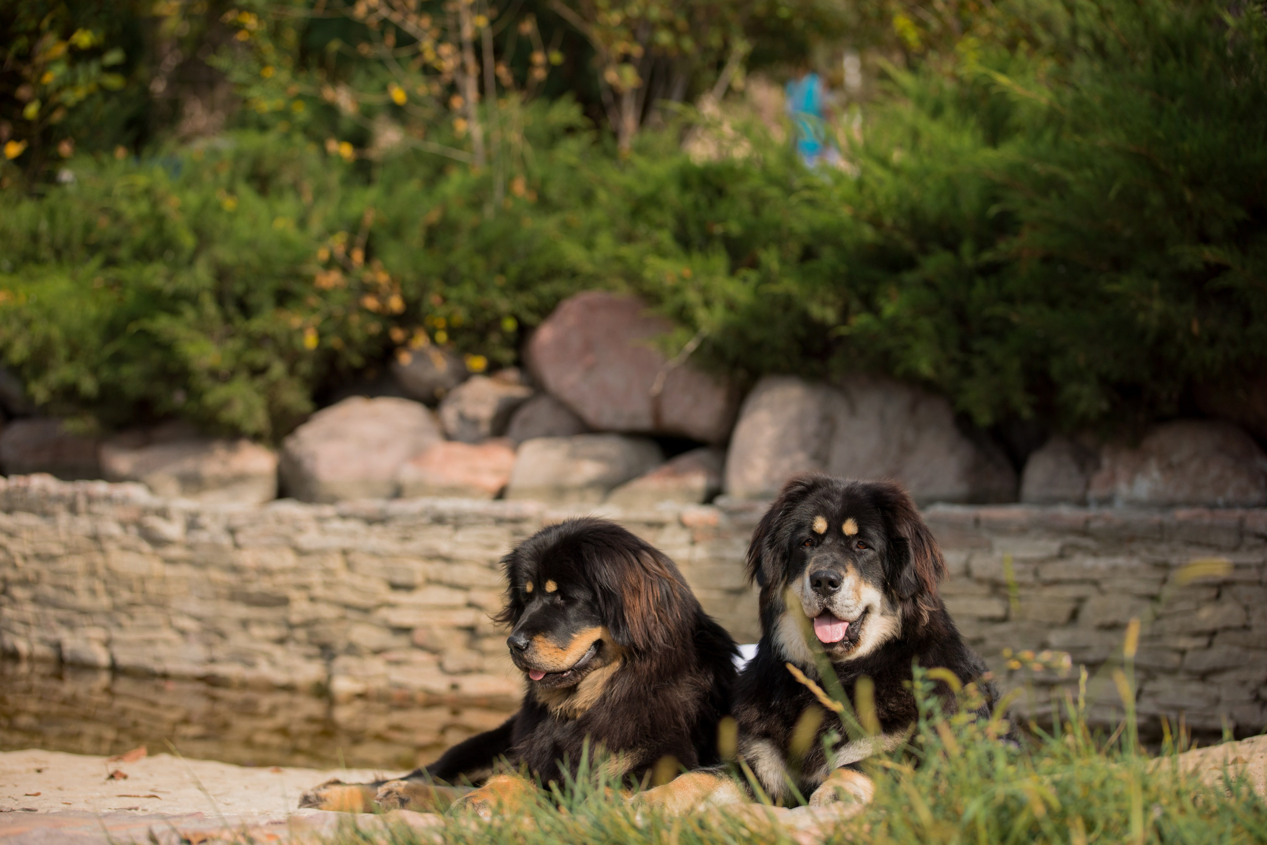 Ташкент 6-8.10.2023 + Алматы 14-15.10.2023. Фотограф-анималист Юлия Германика