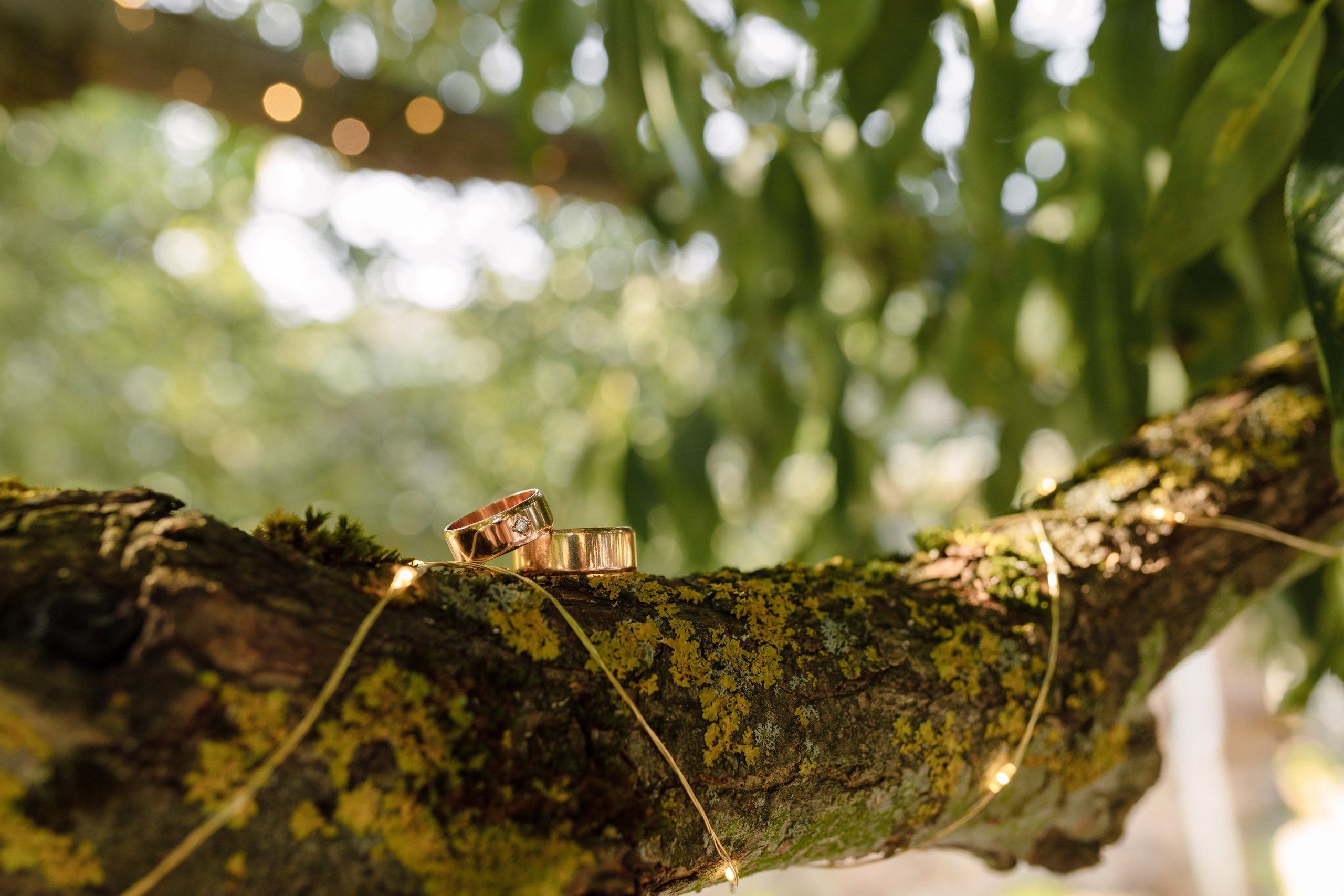 УСАДЬБА ГАНКА. Cheta Kovalevsky фотографы