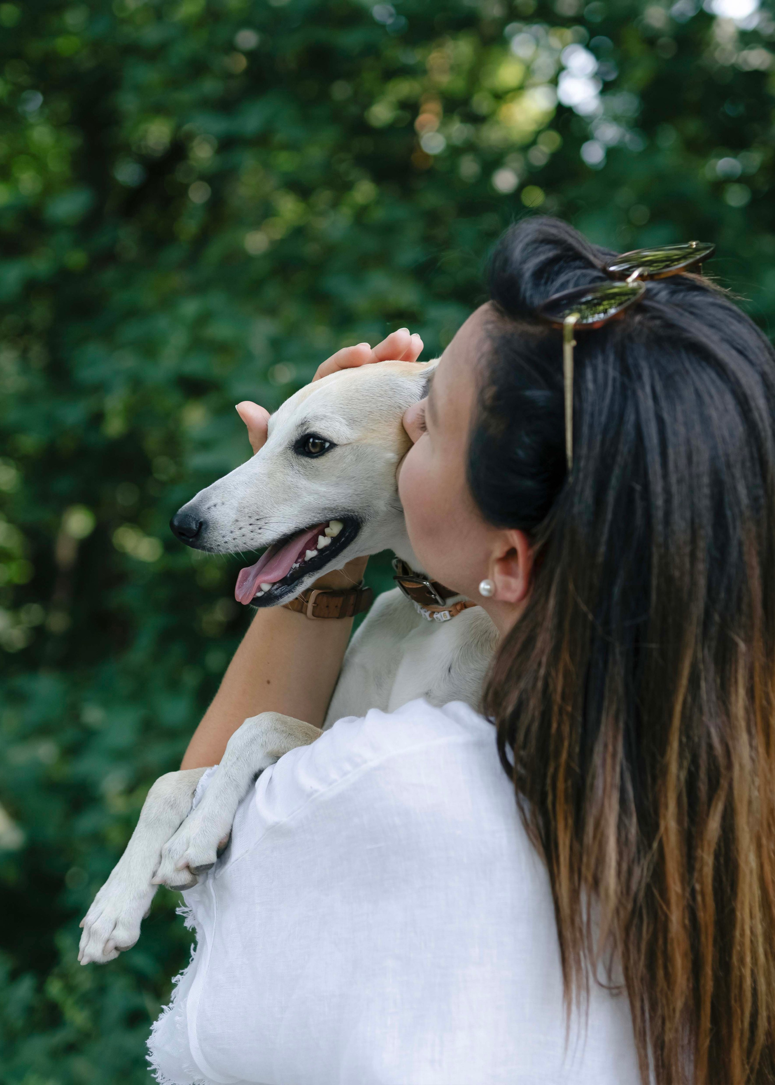 Портреты питомцев. Фотограф и видеограф в Минске Мария Войтик