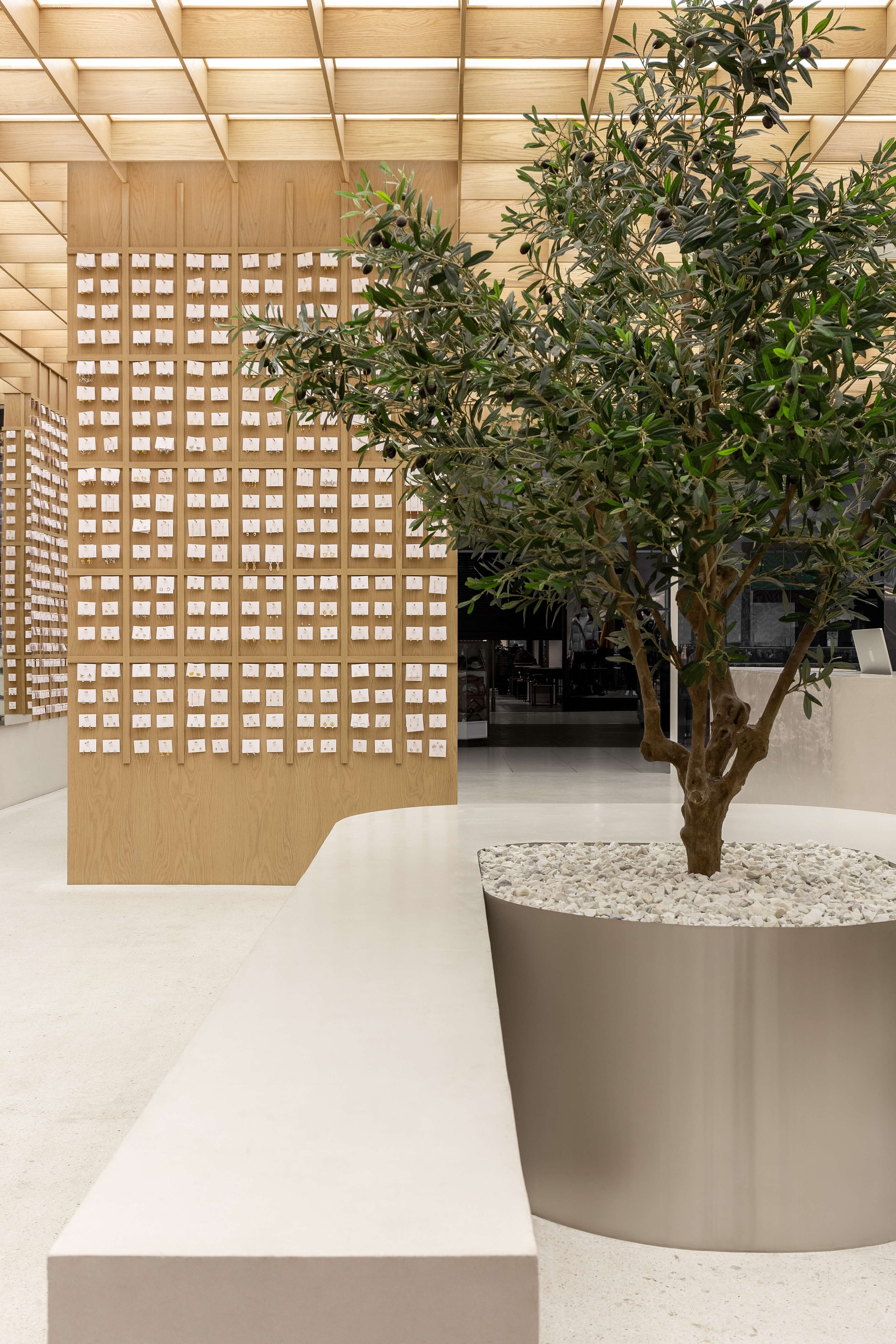 Volume Studia — IVY. Roman Yakunin — interior photographer in Almaty, Kazakhstan