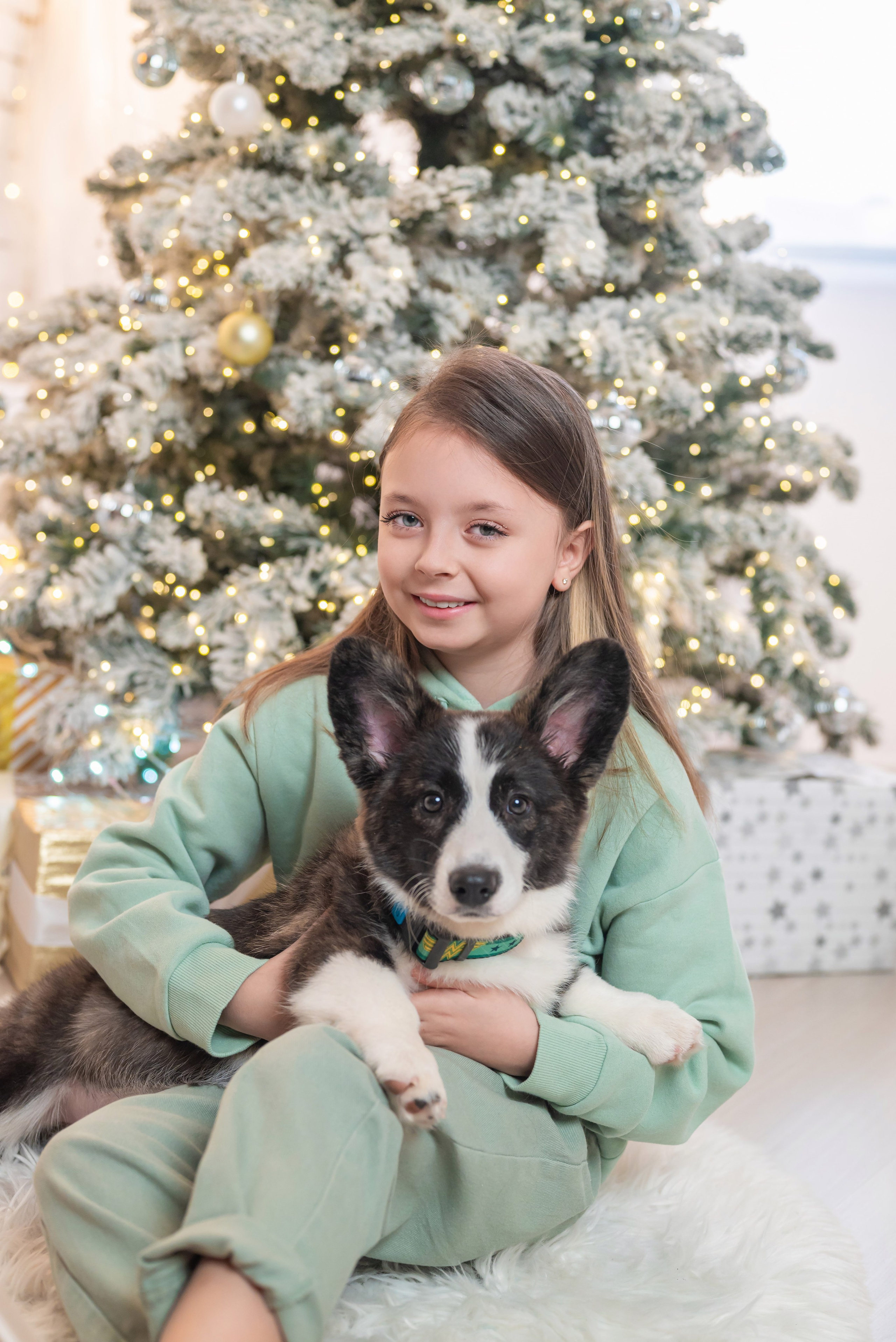 Фотопроект с корги. Фотограф в городе Салават