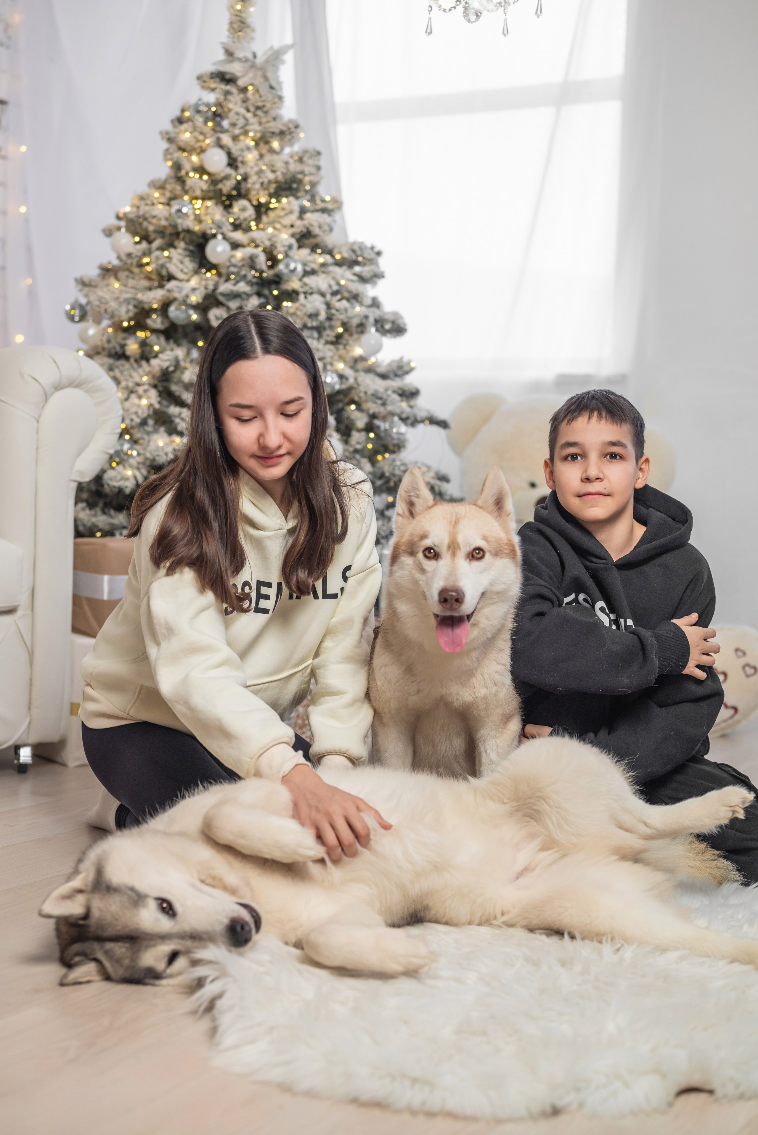 Фотопроект с хаски. Фотограф в городе Салават