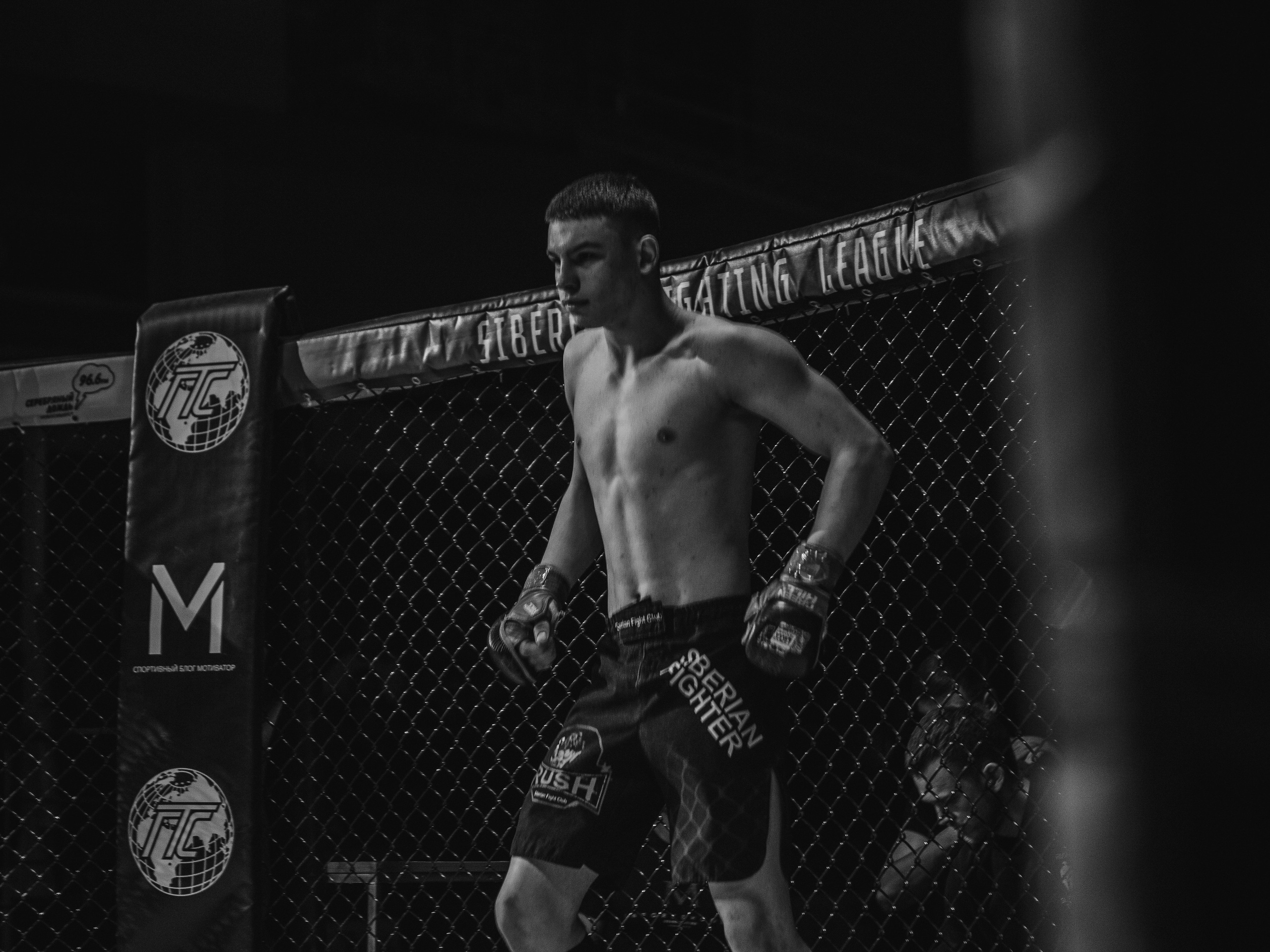 SFL 17 | Siberian Fighting League. Портретный фотограф в Москве Дарья Цезария