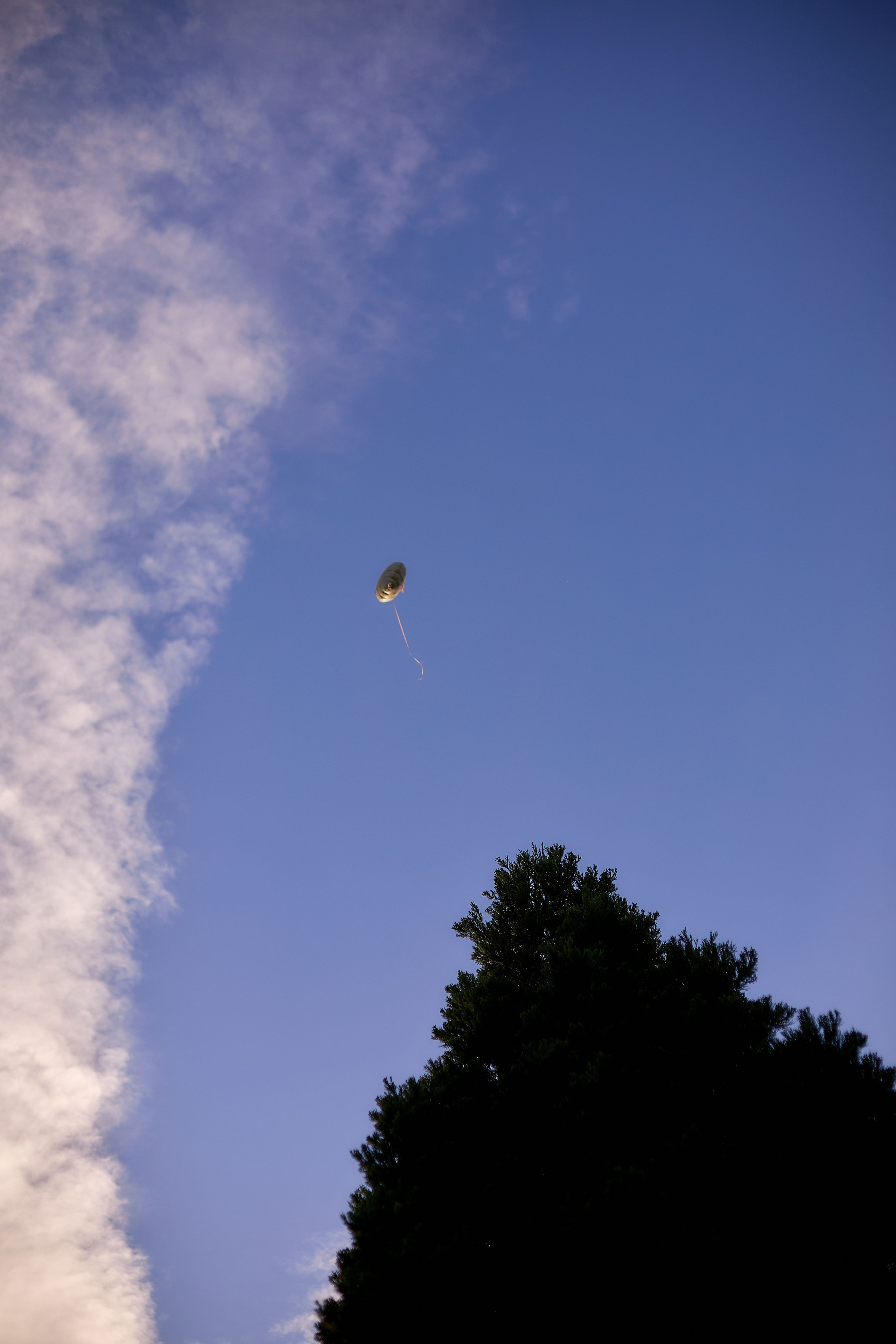 Семейная. Главная