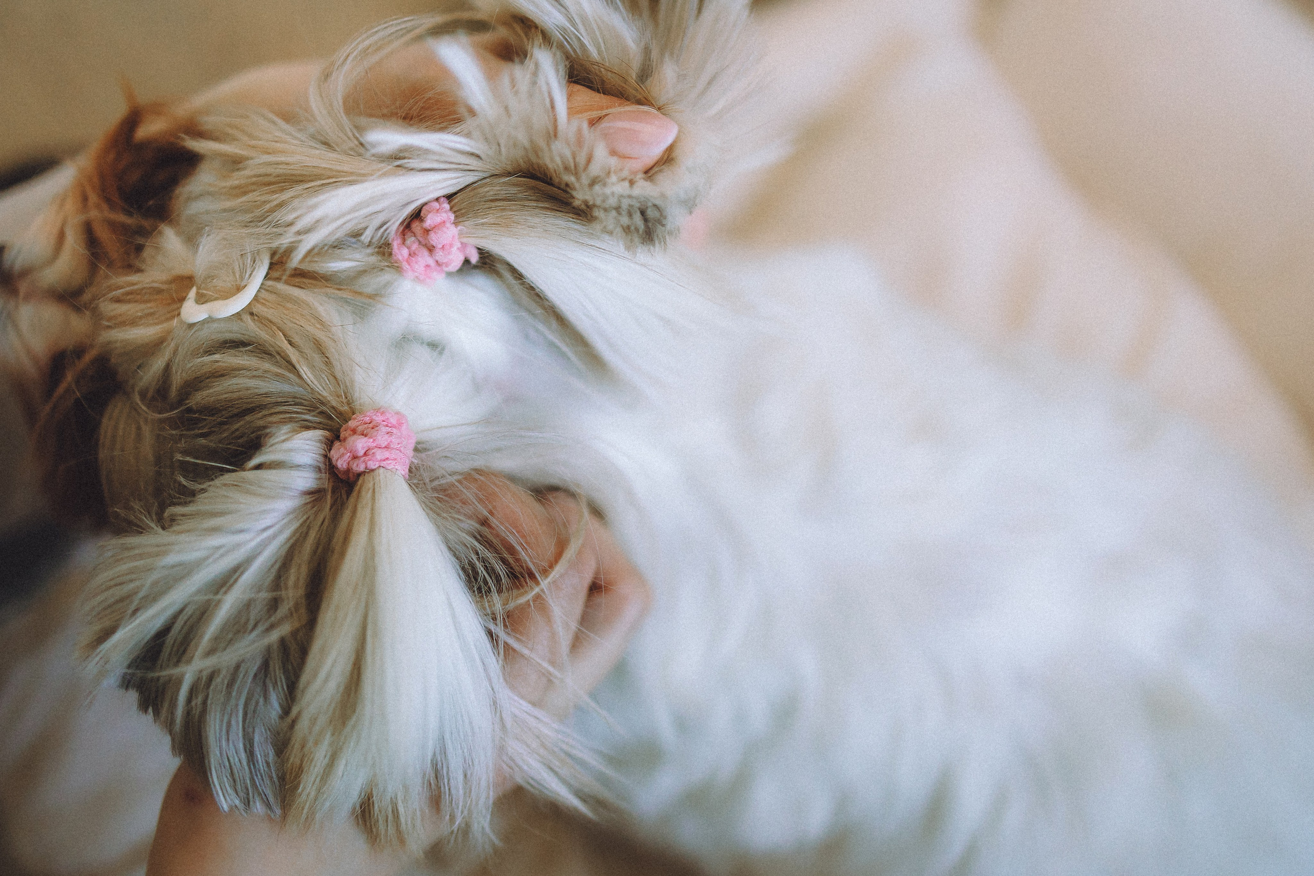 День Рождения Шу