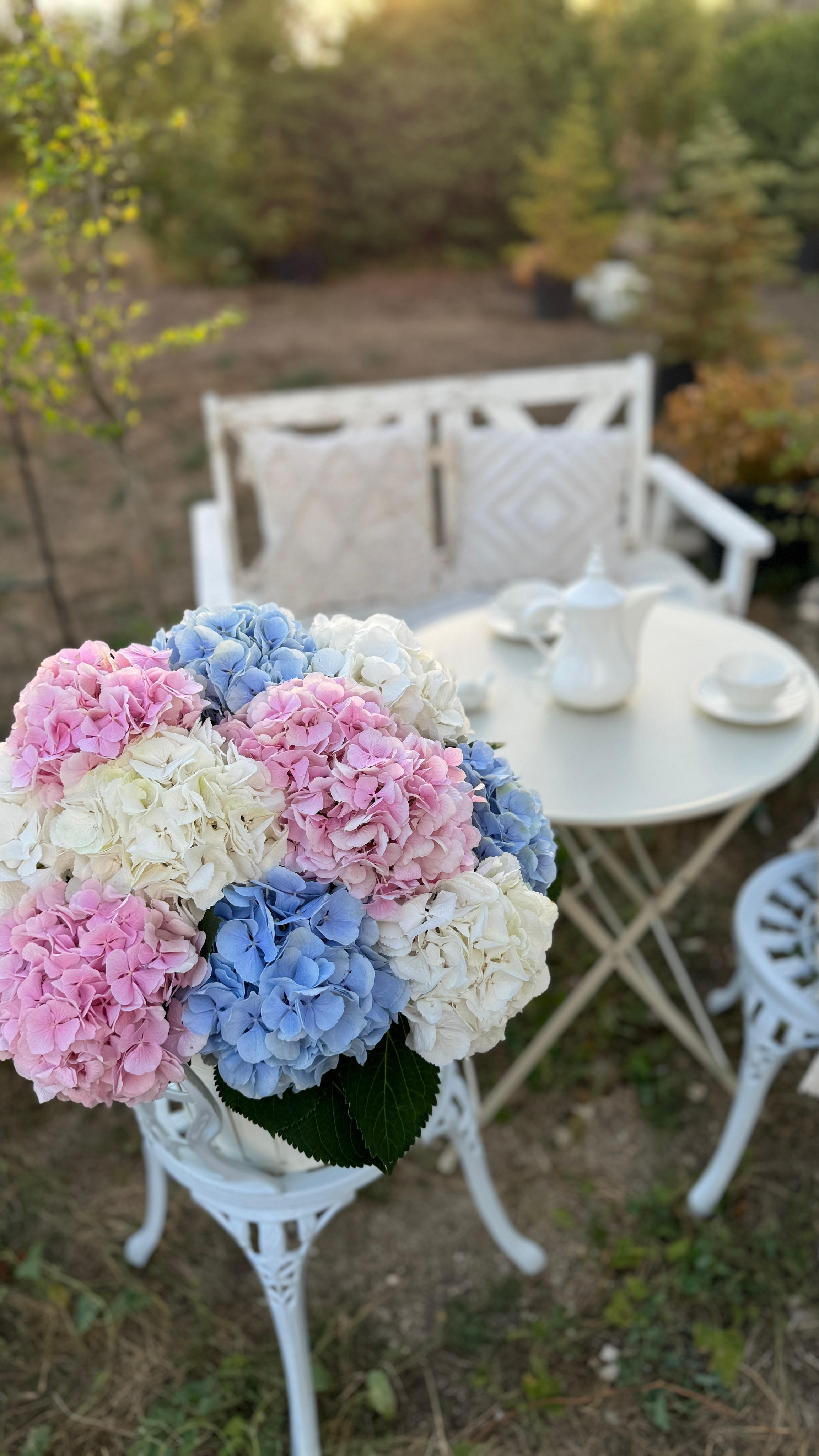 Локации с цветами. Фотостудия Натальи Забродской