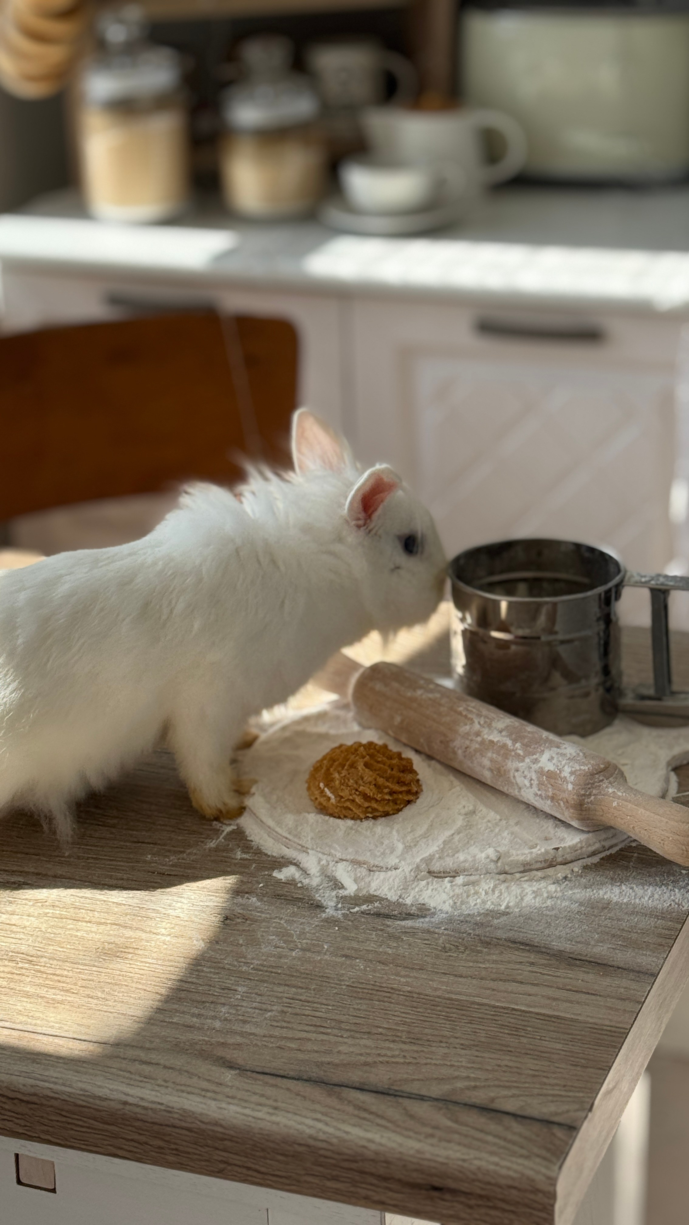 Кухня. Фотостудия Натальи Забродской