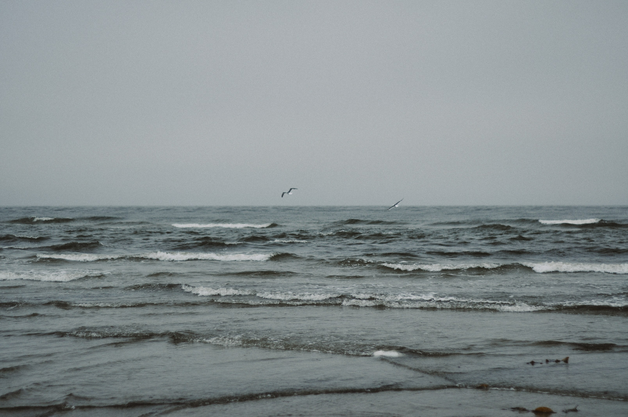 Алексей и Оля