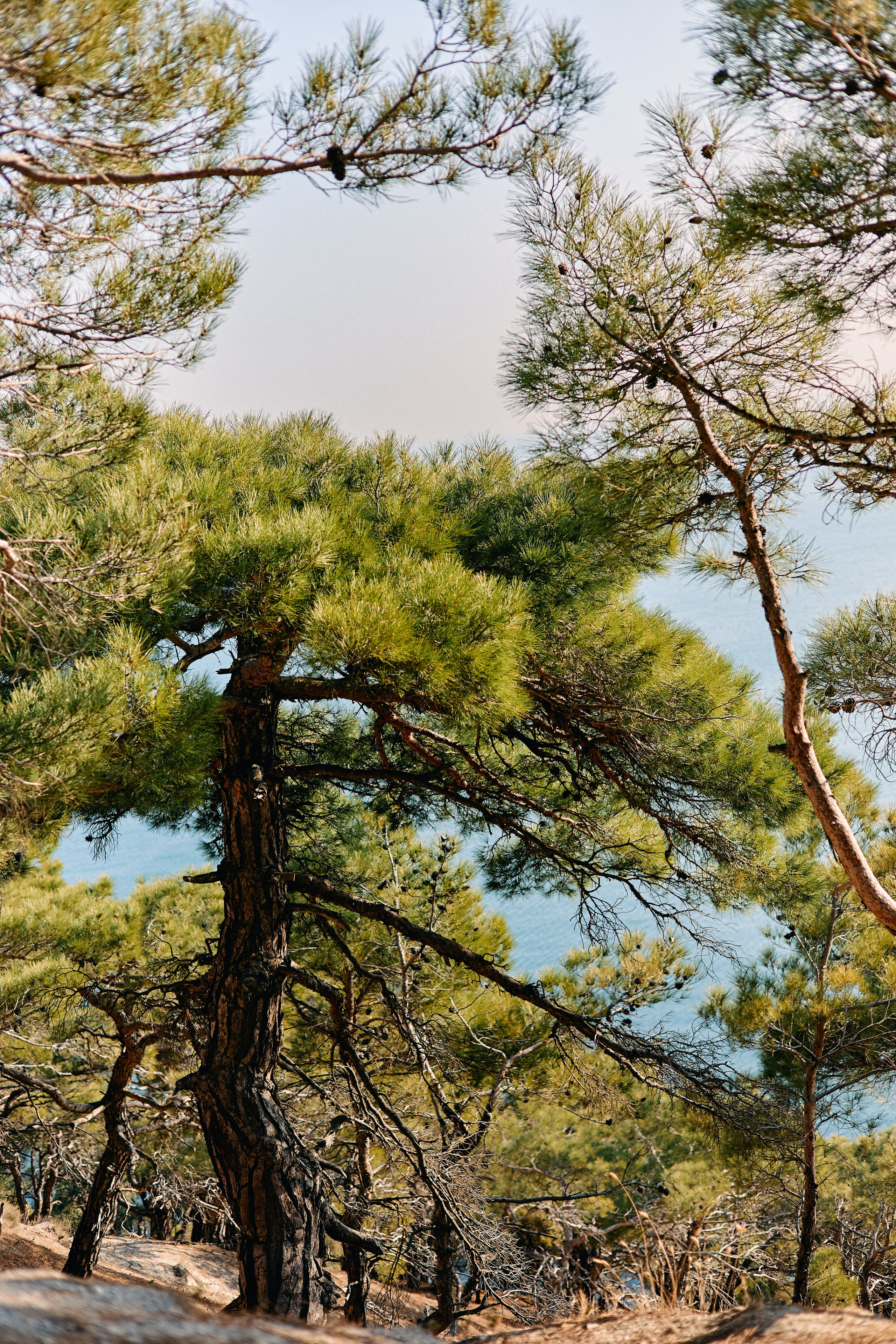 Юг России. Профессиональный Фотограф во Владимире, в Москве и в Суздале — Полина Романычева
