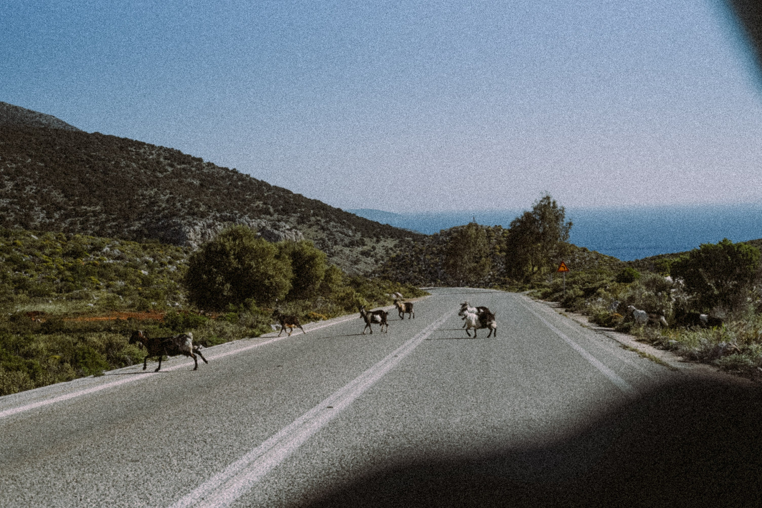 Калимнос Пасха 2025. Anita_photo