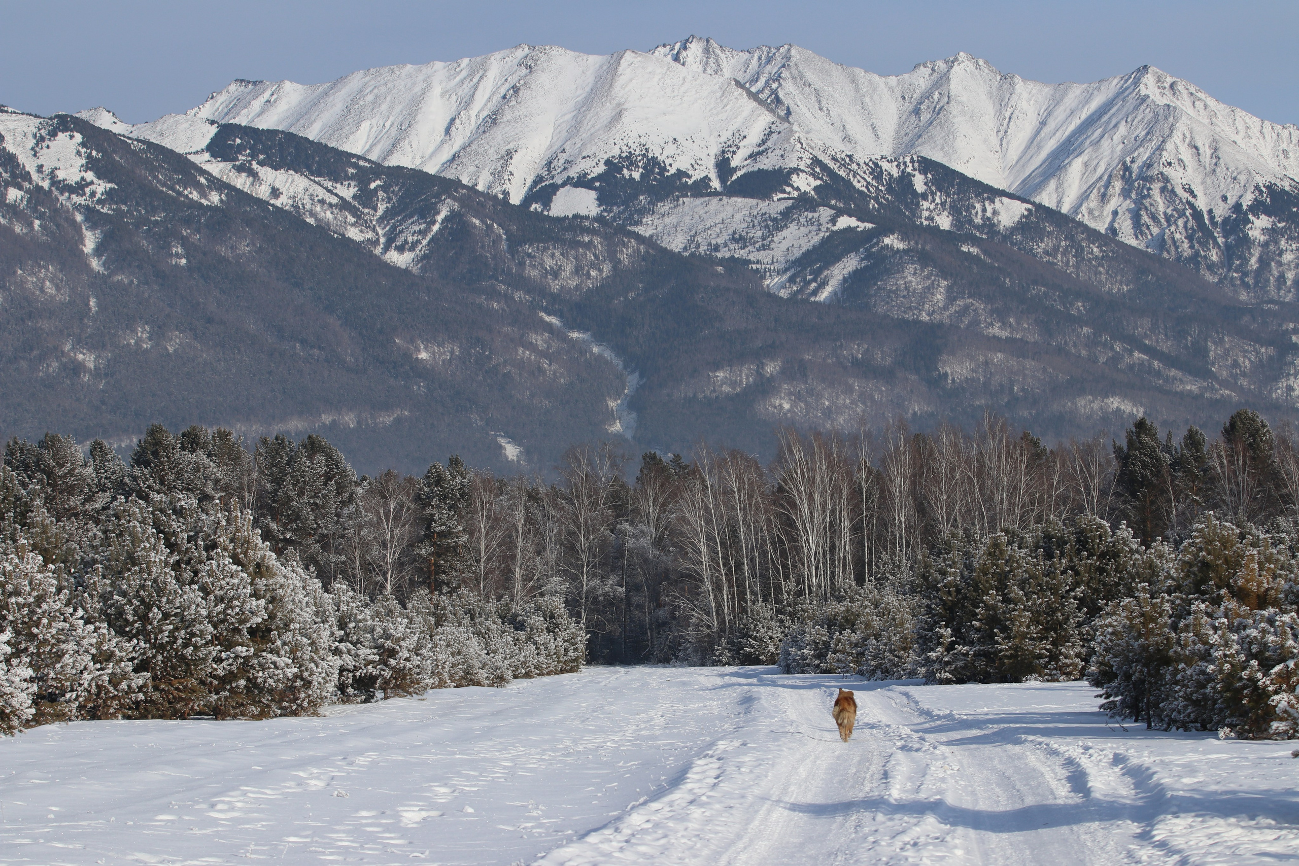 Аршан. Январь 2024. Путешественник-фотограф из Санкт-Петербурга Татьяна Свистулина