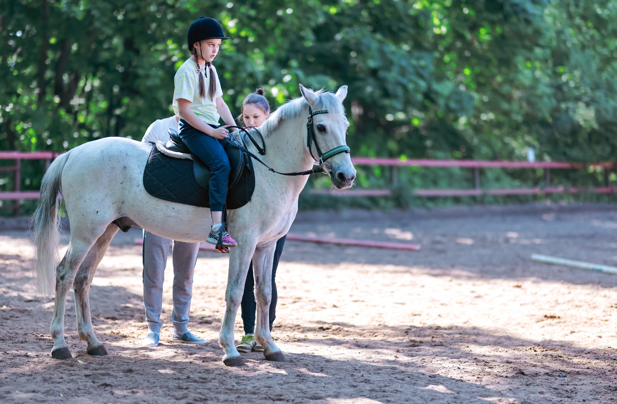 Корпоратив на конюшне. Фотограф репортажей и стритфотосессий в Москве Людмила Смирнова