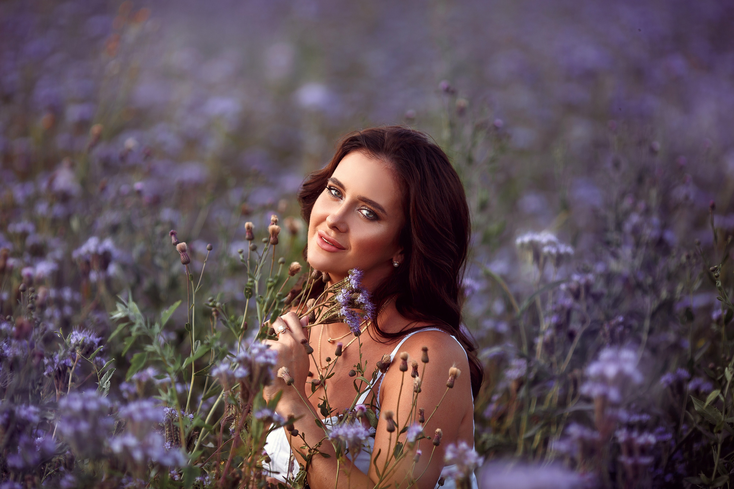 Поля сиреневые. Фотограф в Иваново и других городах Ирина Сметанкина