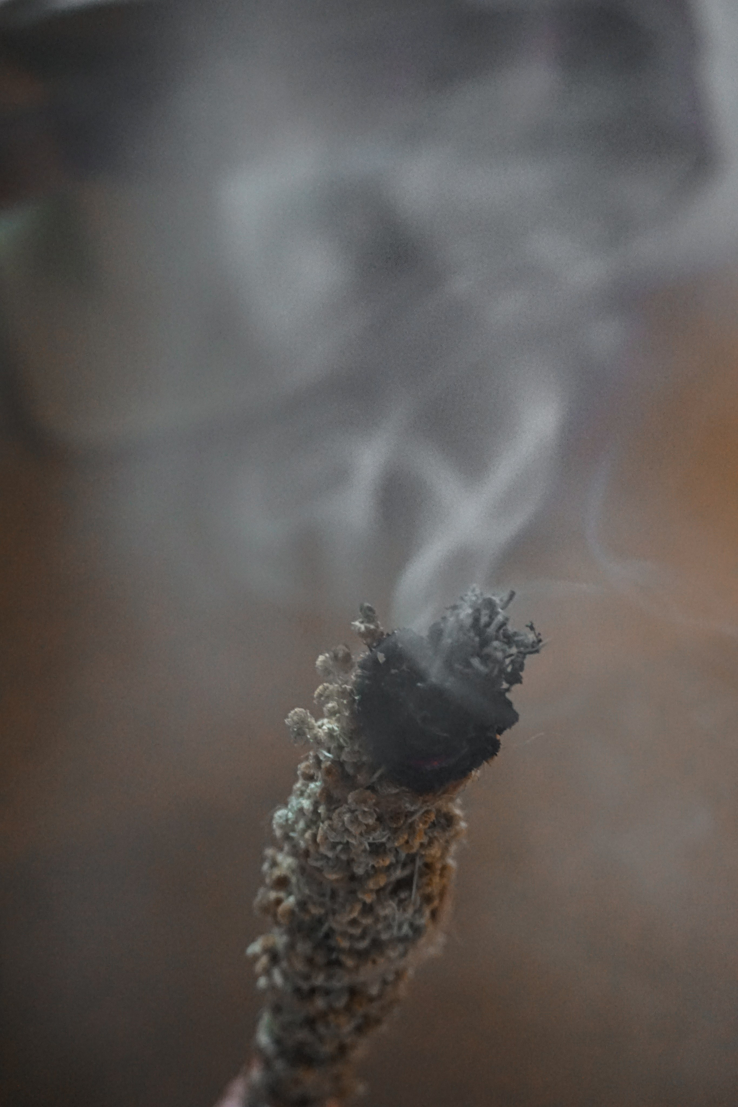 Свечи ручной работы. ФОТОГРАФ Любовь Скок. Москва