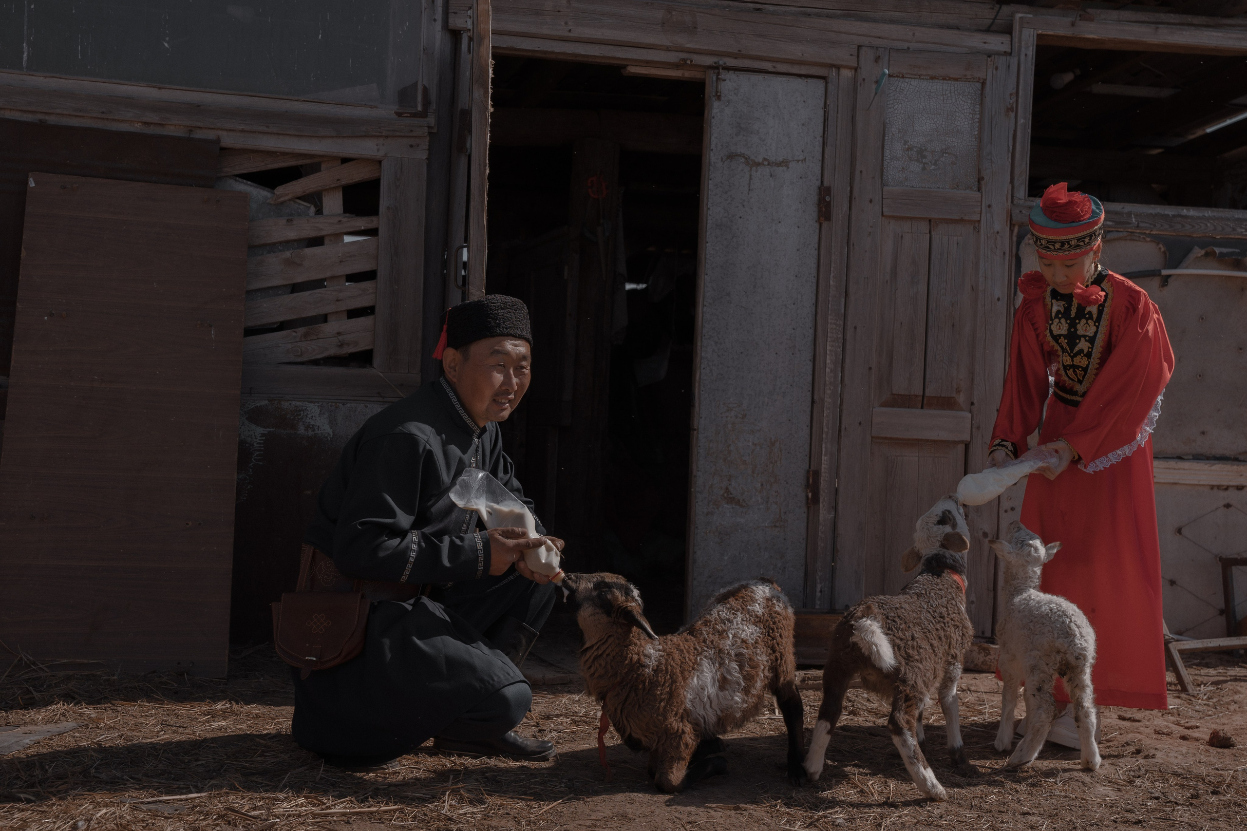 Калмыкия I Май 2024. Commercial photographer Natalia Bychkova