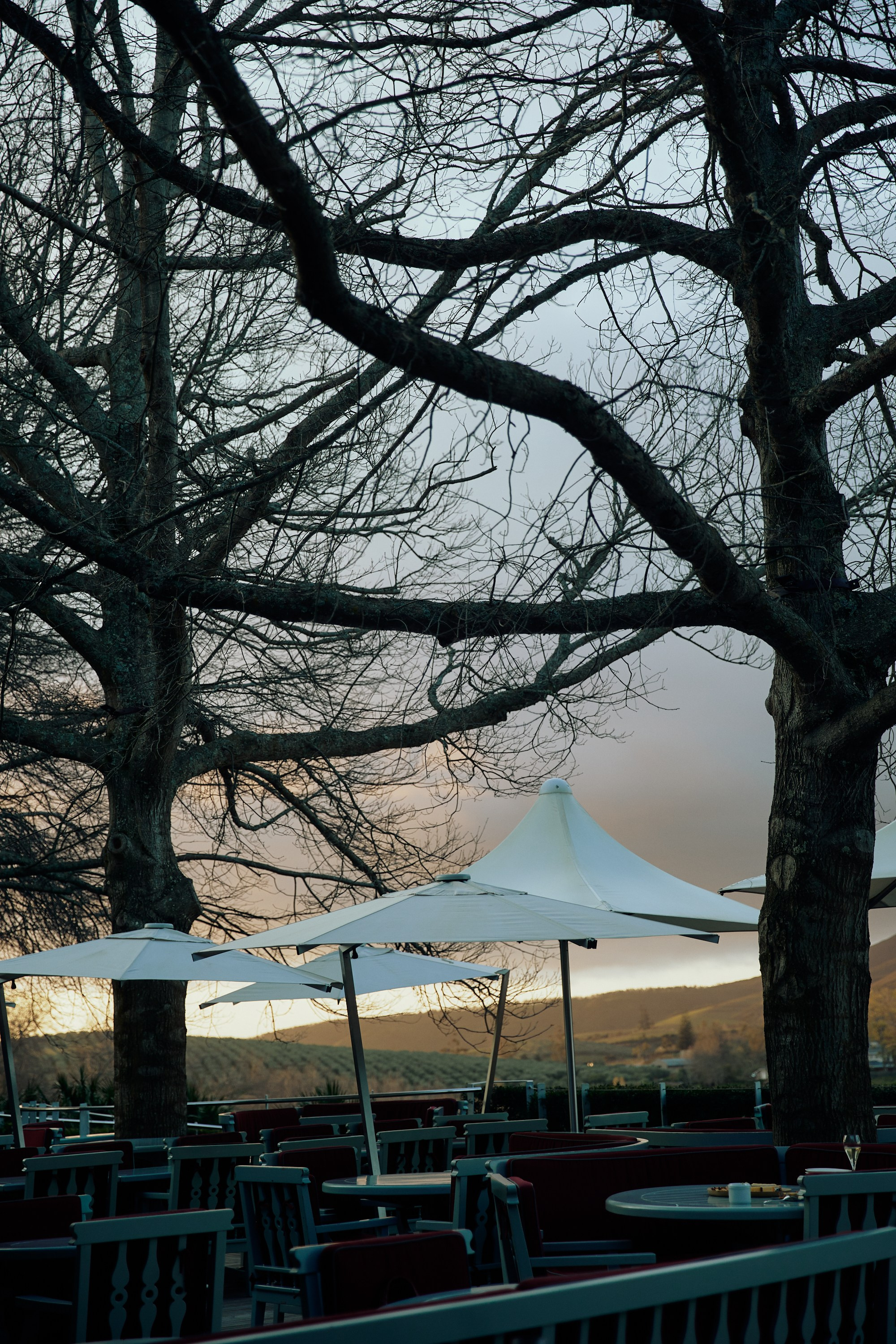 SOUTH AFRICA EMBA 38. Дмитрий Мазуркевич: Профессиональный Репортажный Фотограф