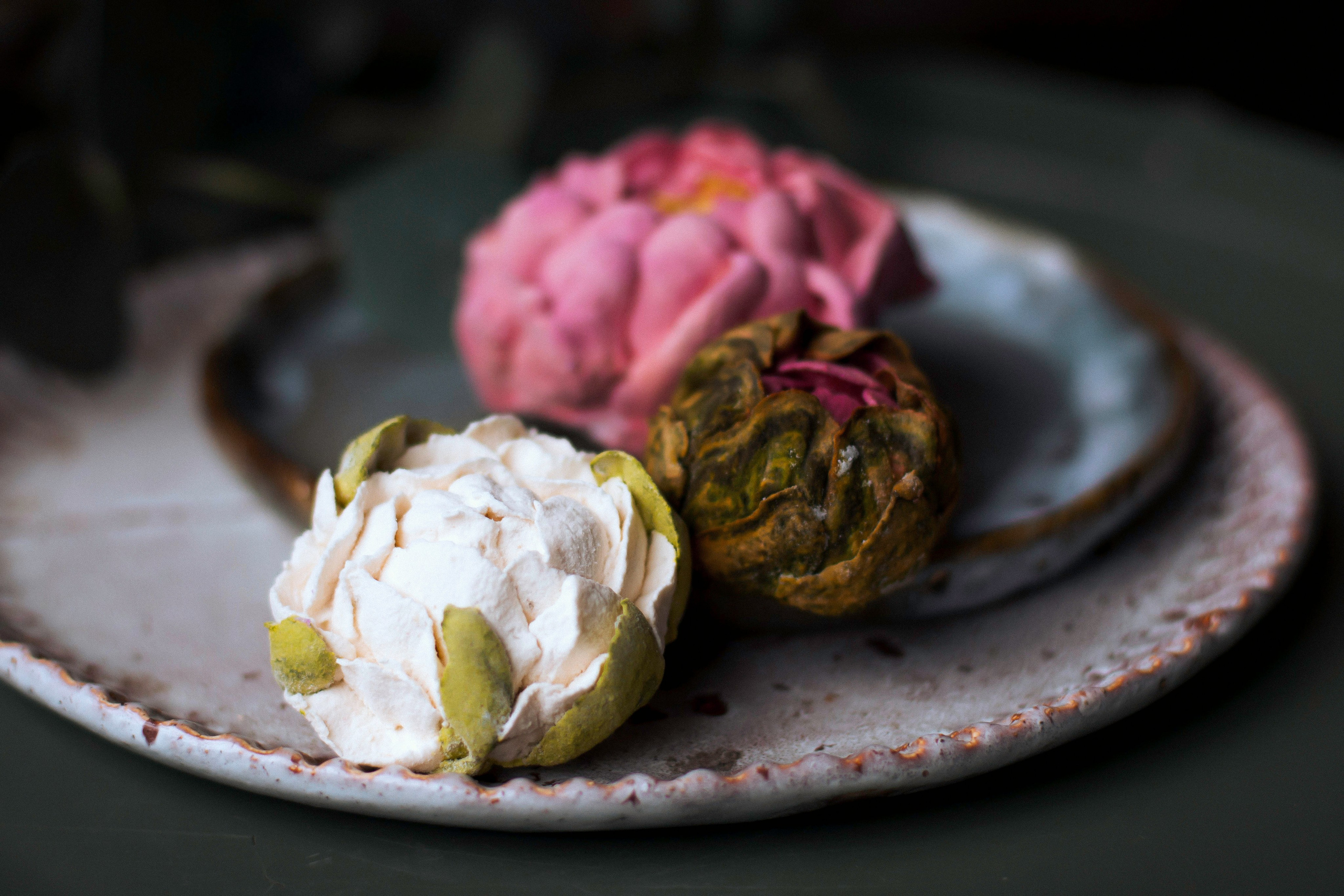 / P r o d u c t /. Nadi Sapunova photographer & visual storyteller