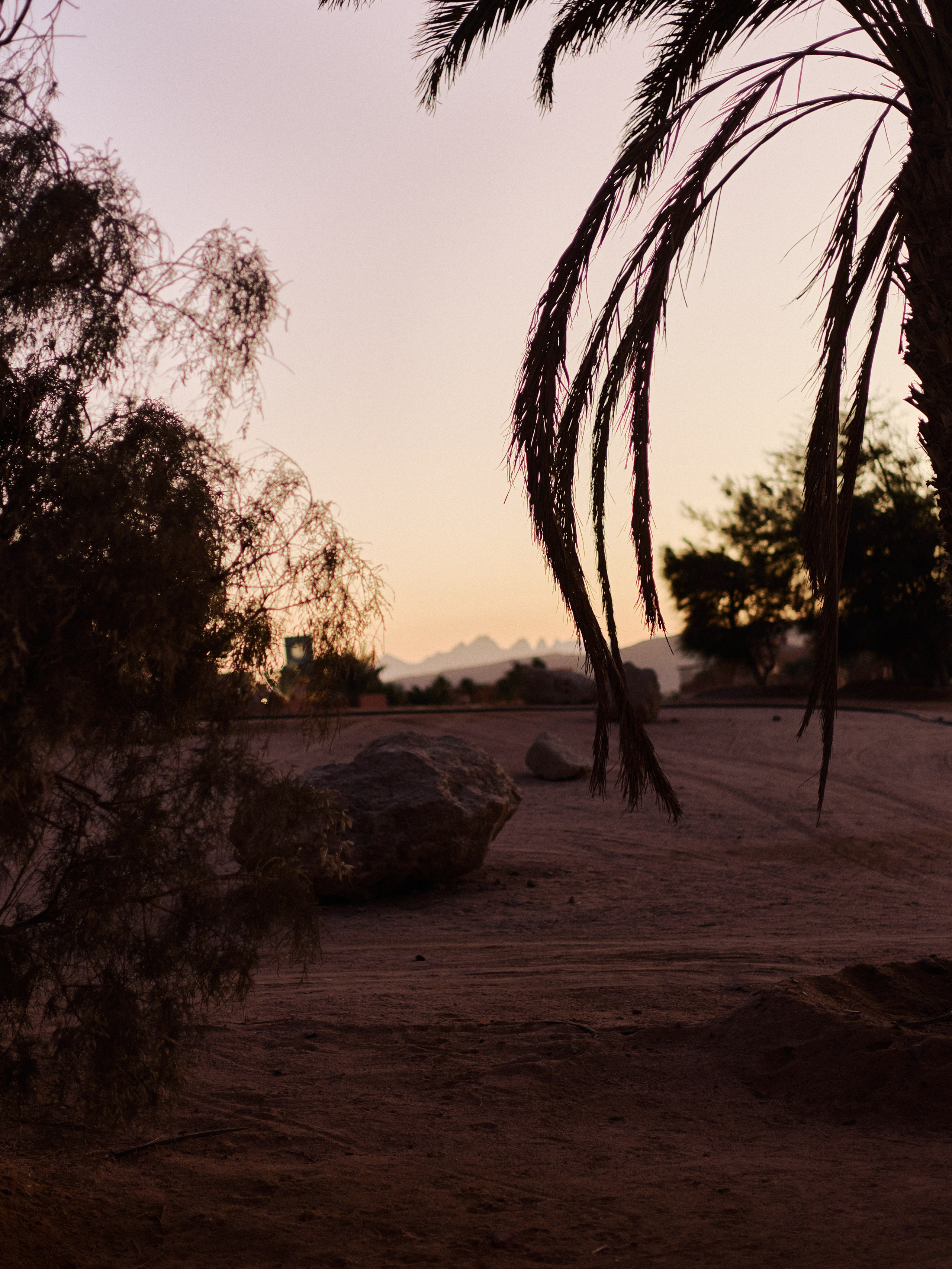 Другое 3. Jorgis — фотограф в Хургаде / обучение фотографии