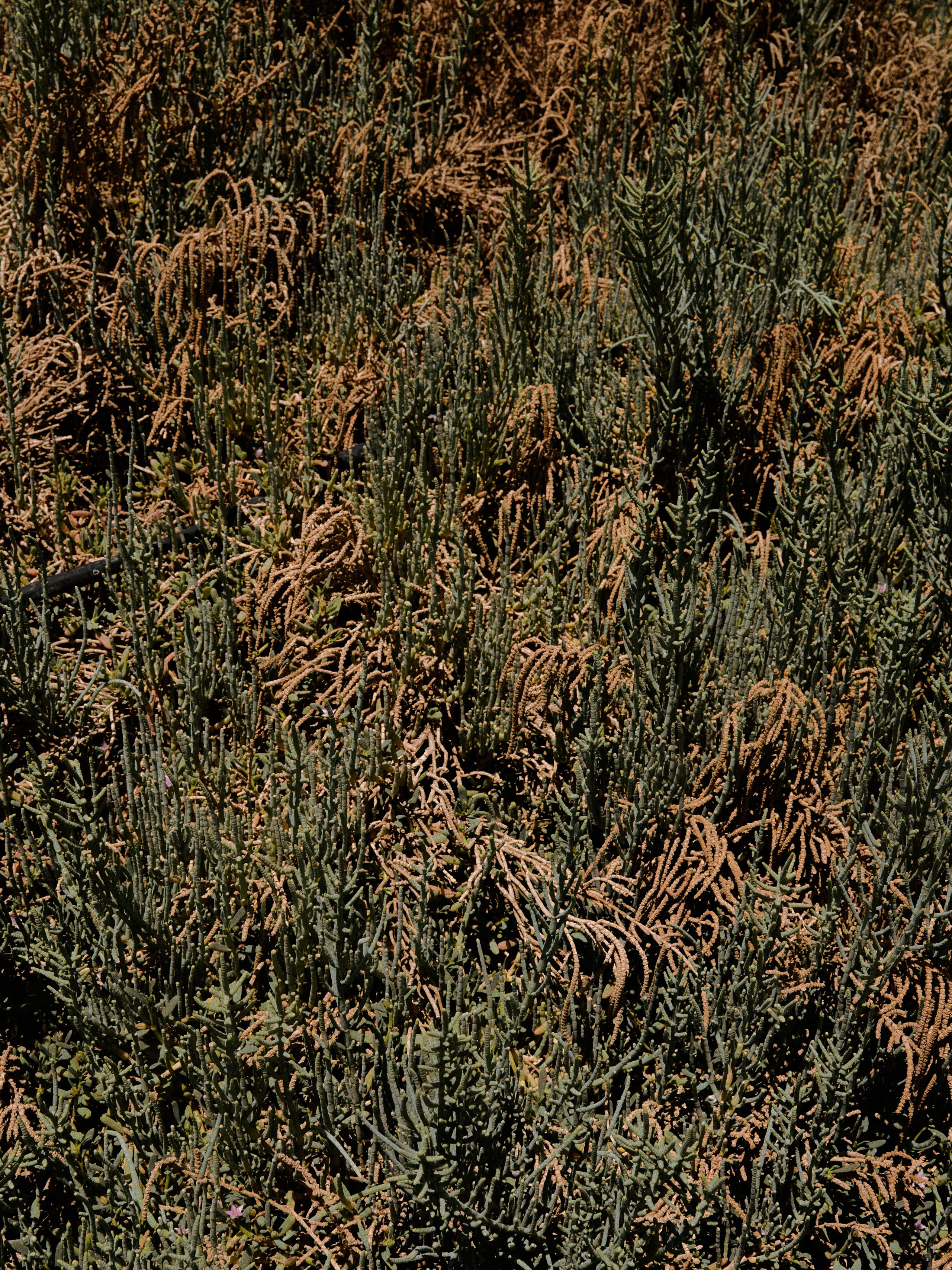 Природа. Jorgis Talè — photographer, kind person, teacher of arts and other mag