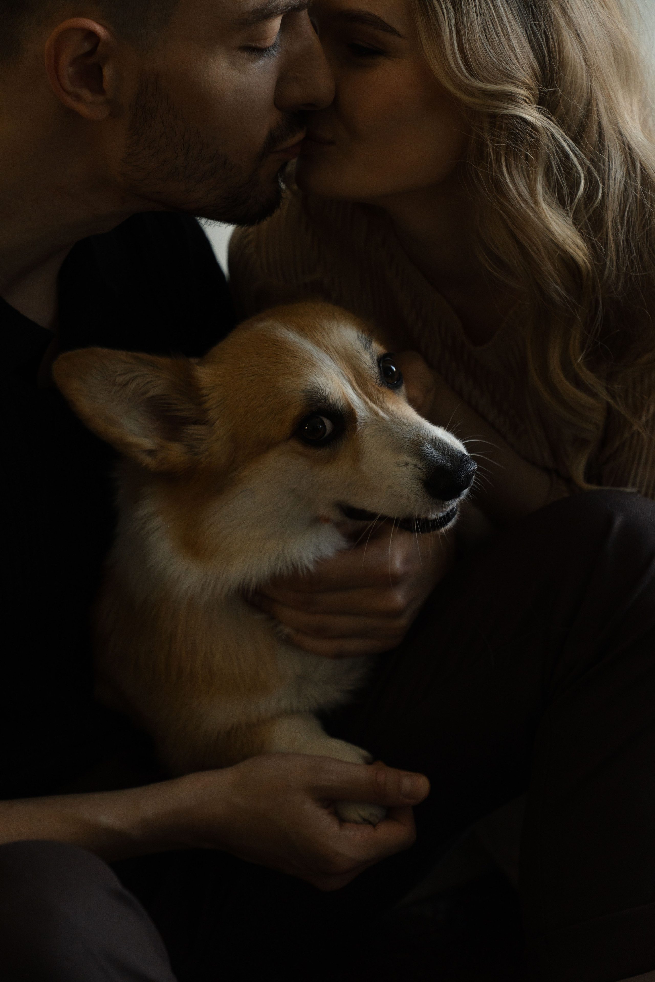 Четыре лапы. Свадебный фотограф Наташа Брифли