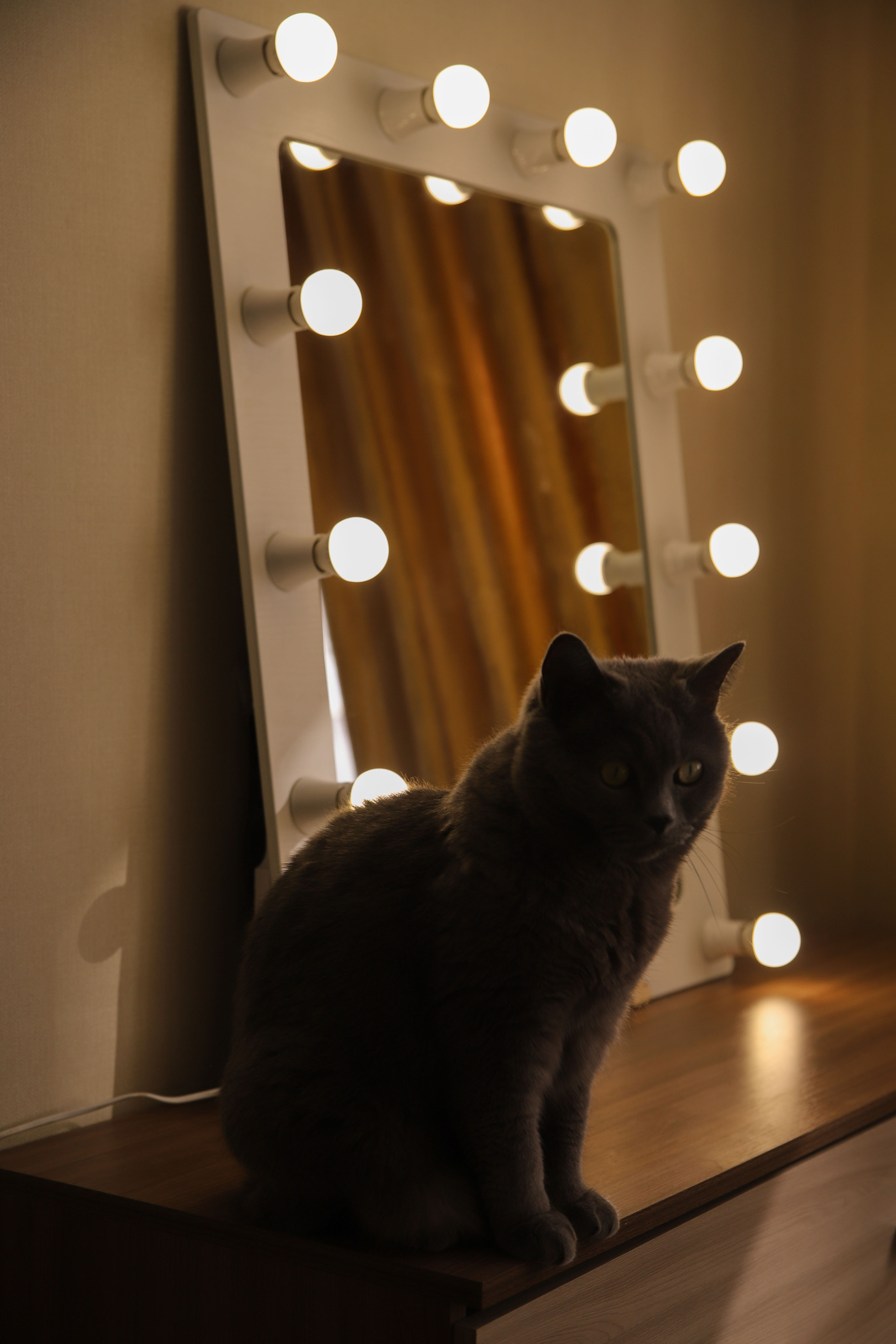 Домашняя съемка. Семейный свадебный интерьерный фотограф Тверь Санкт- Марина Свистунова