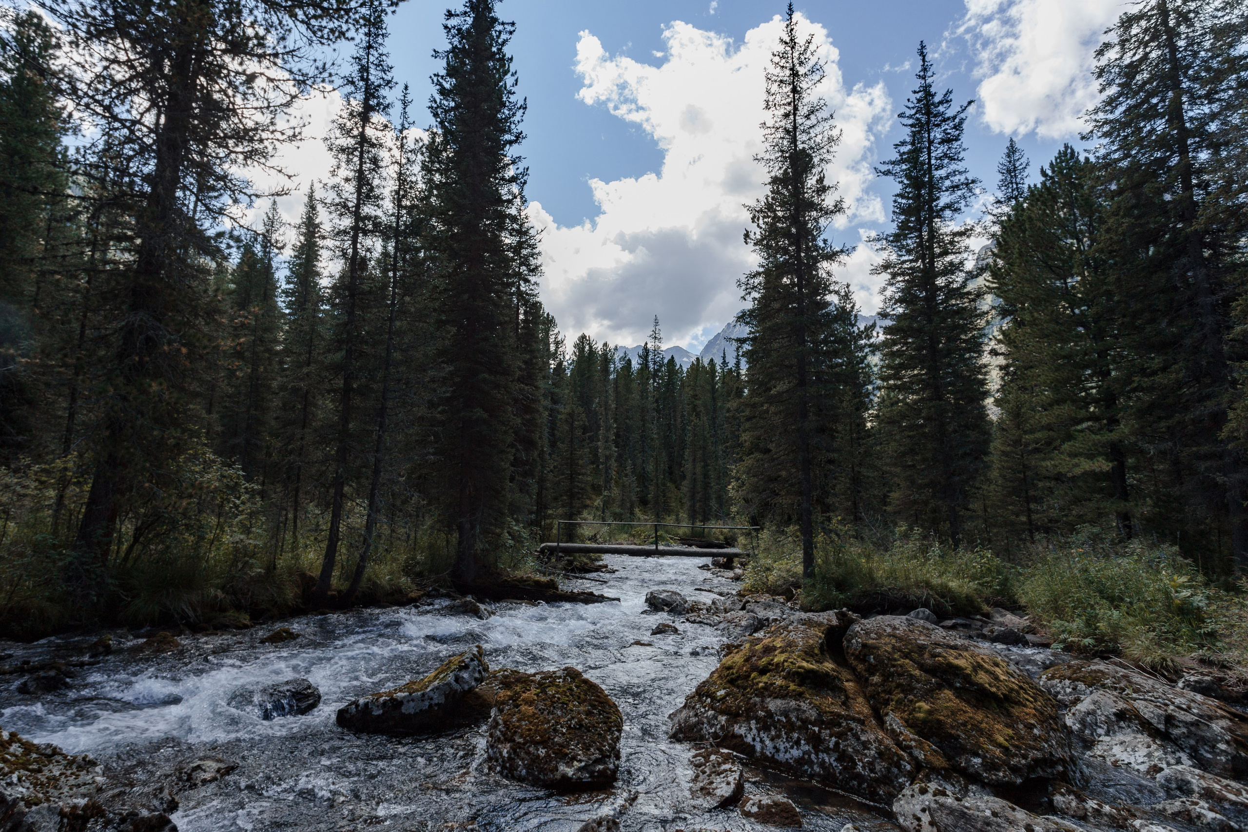 Катунский заповедник, Республика Алтай. Репортажный фотограф в Крыму Ксения Гасица