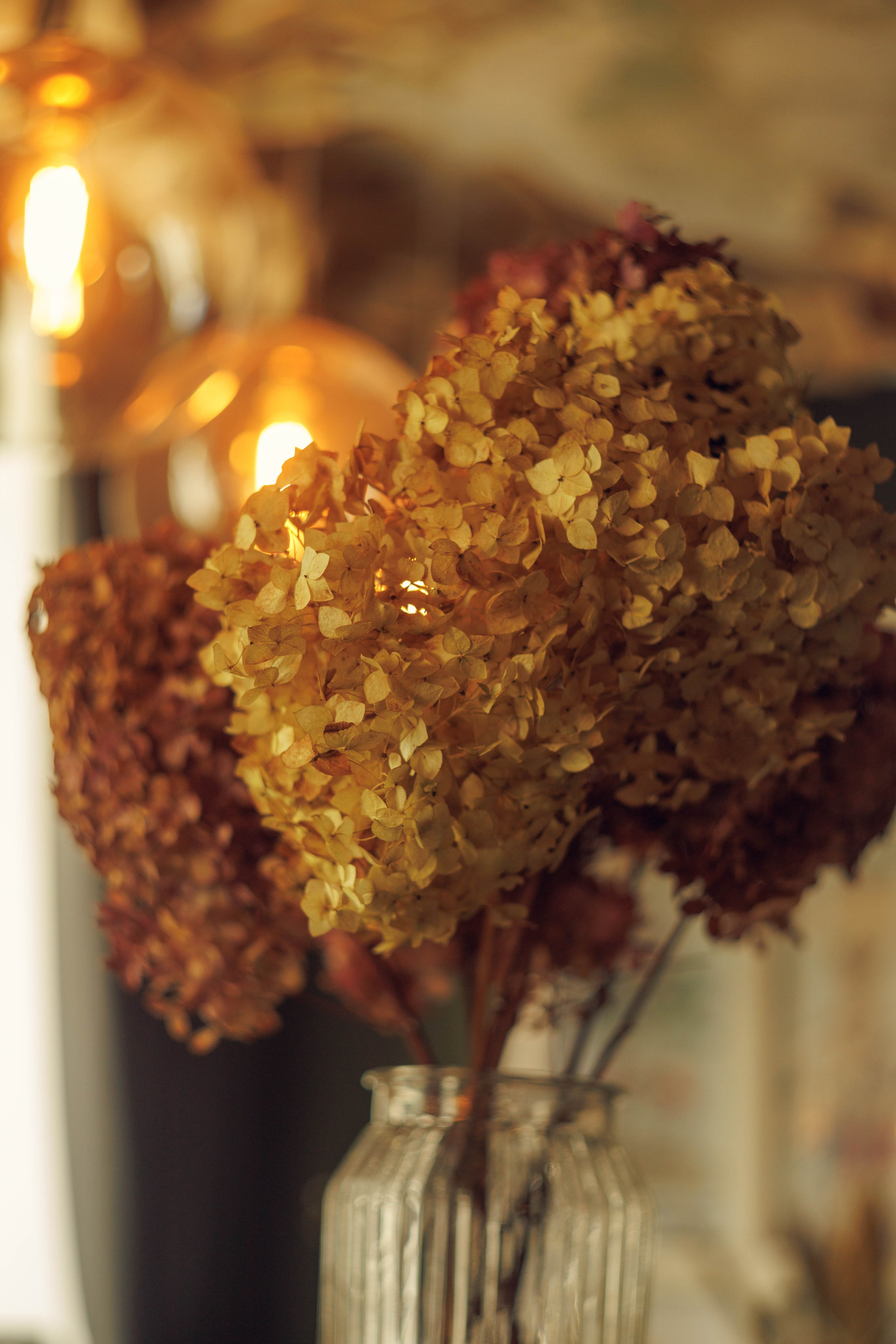 Ксения. Детский и семейный фотограф в Твери Ольга Крестьянинова