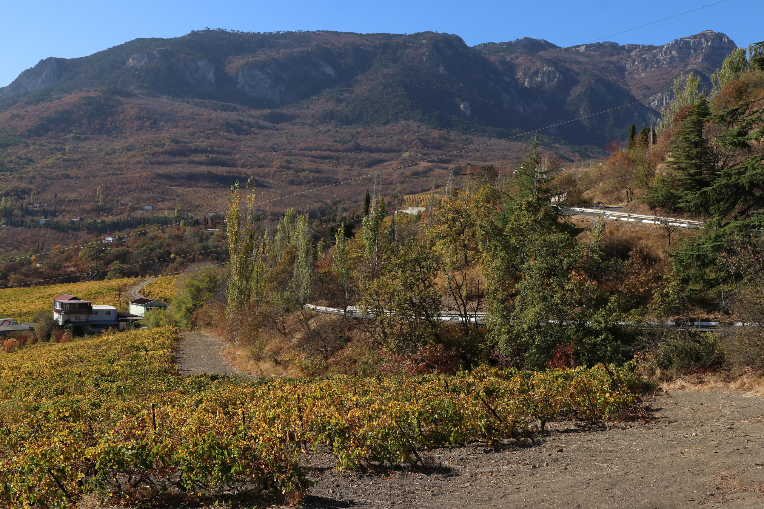 Крым. ЮБК (Гурзуф, Судак и их окрестности). Ноябрь 2023. Путешественник-фотограф из Санкт-Петербурга Татьяна Свистулина