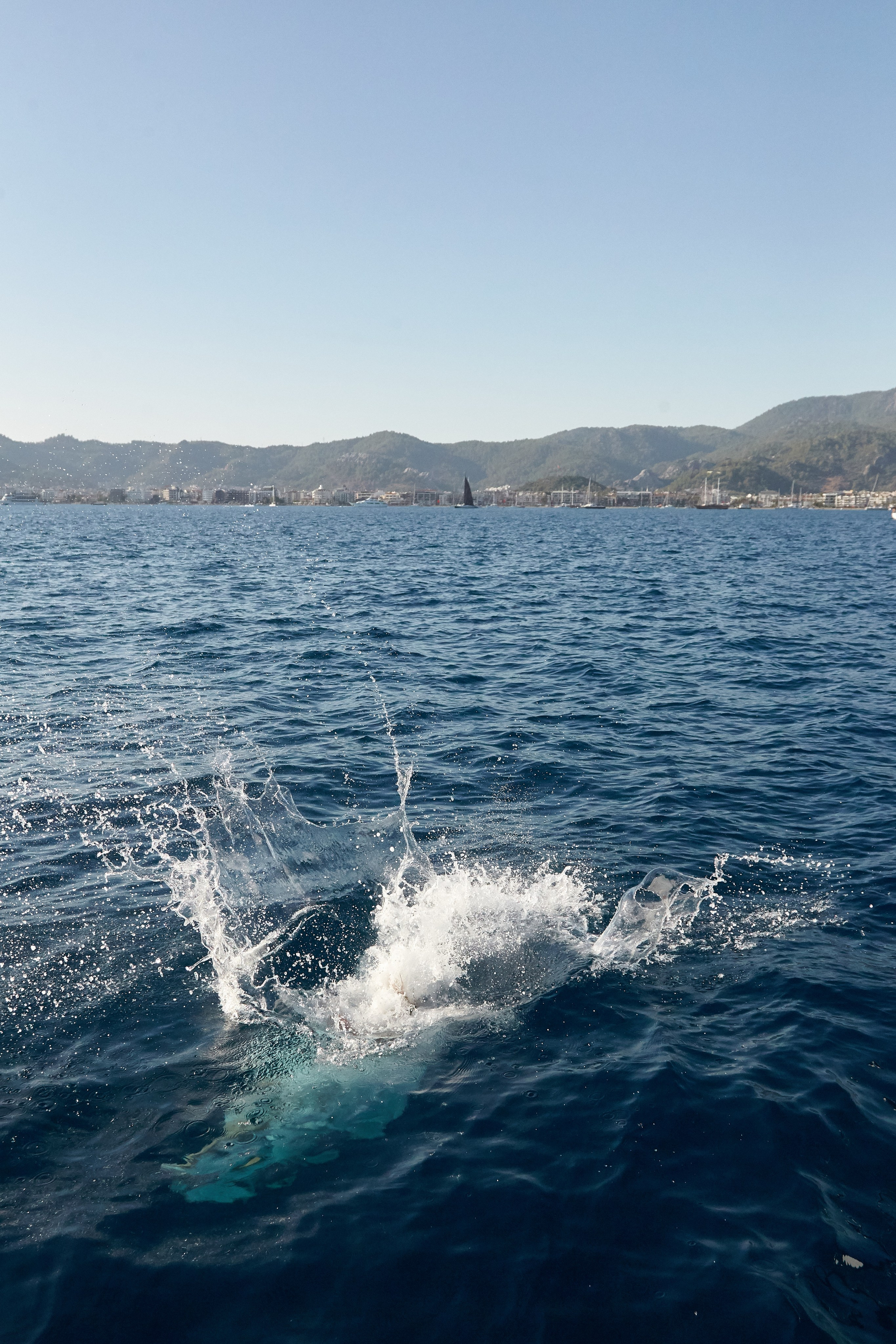 MIRW2022. Фотохроника для следующих поколений