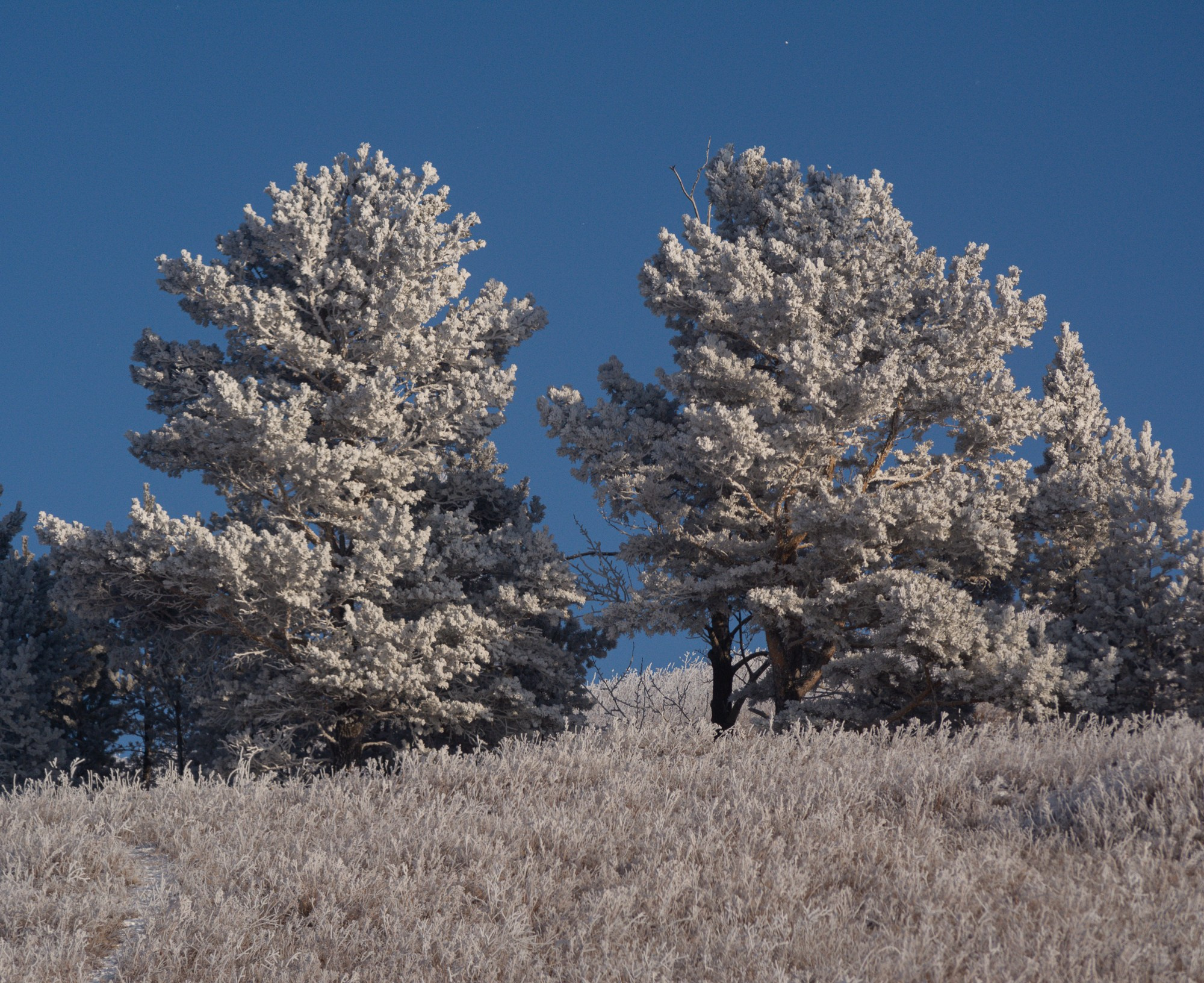 Разное. Репортажный фотограф г. Чита