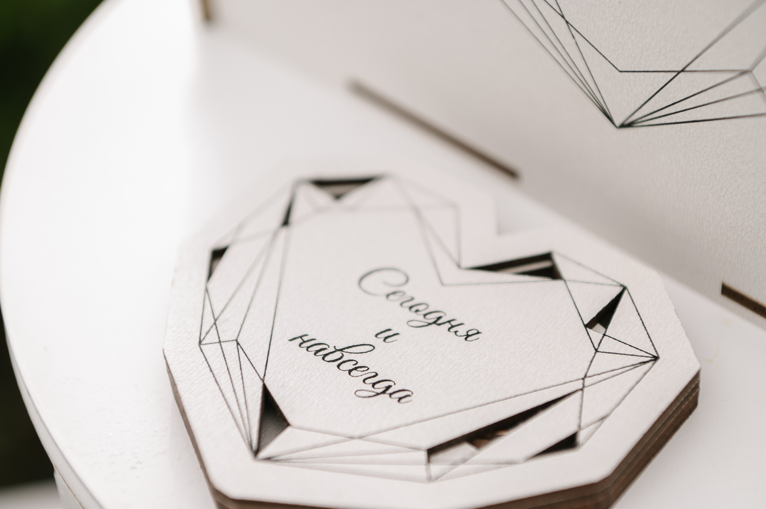 Вячеслав и Ксения. Свадебный фотограф Белгород