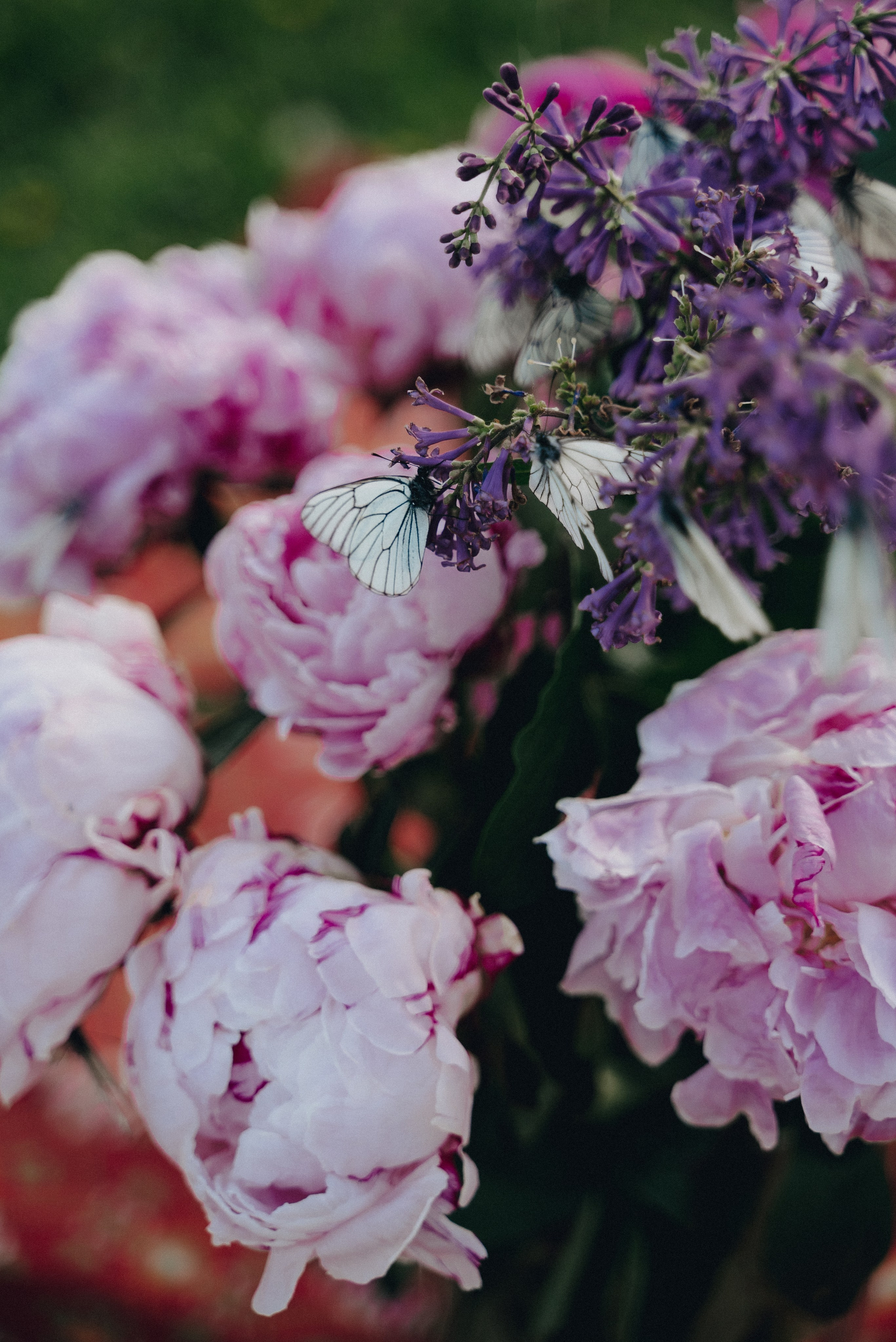 Мистерия. Екатерина Курбанова. Женский фотограф