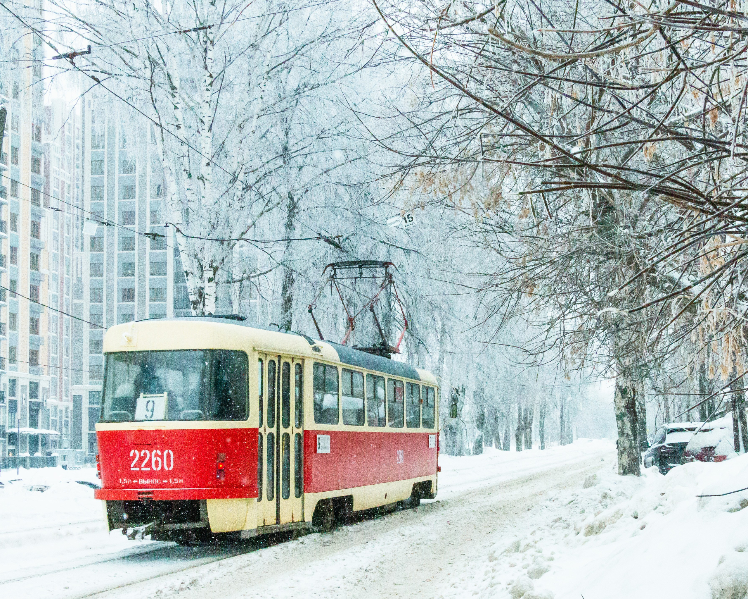 Трамваи. Олег Романов. Мастер фото по спорту