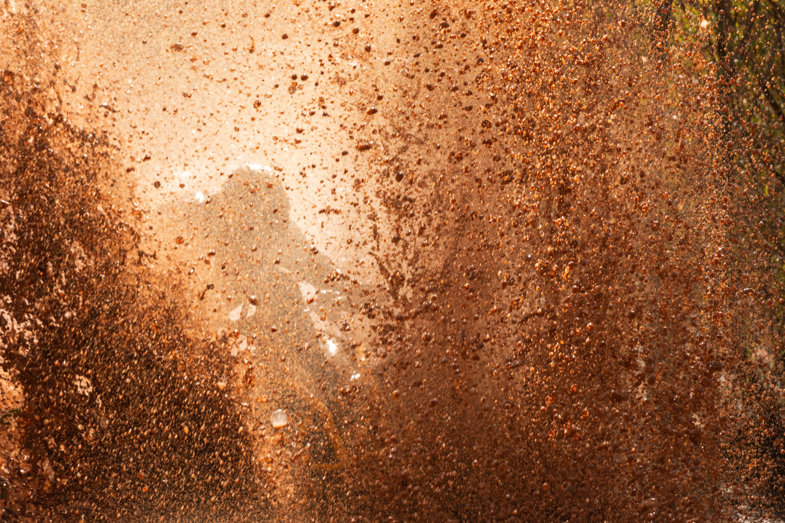 Открытие квадро-мото сезона 2025. Олег Романов. Мастер фото по спорту