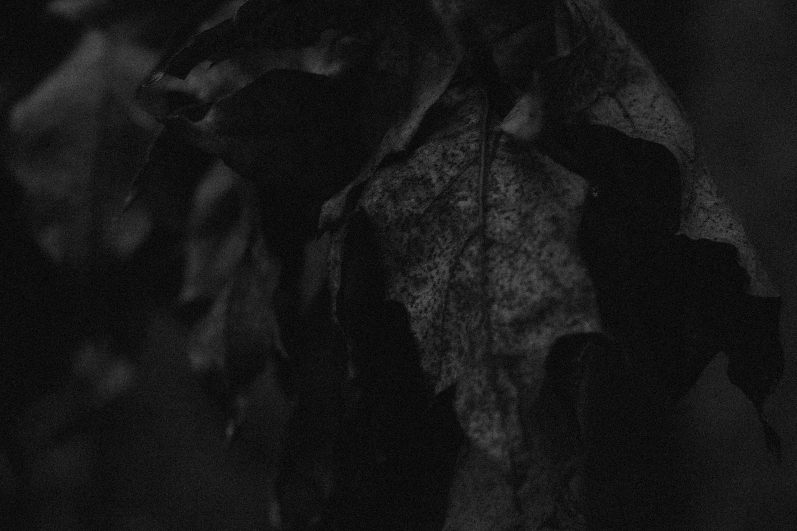 Интимный пейзаж. Олег Романов. Мастер фото по спорту