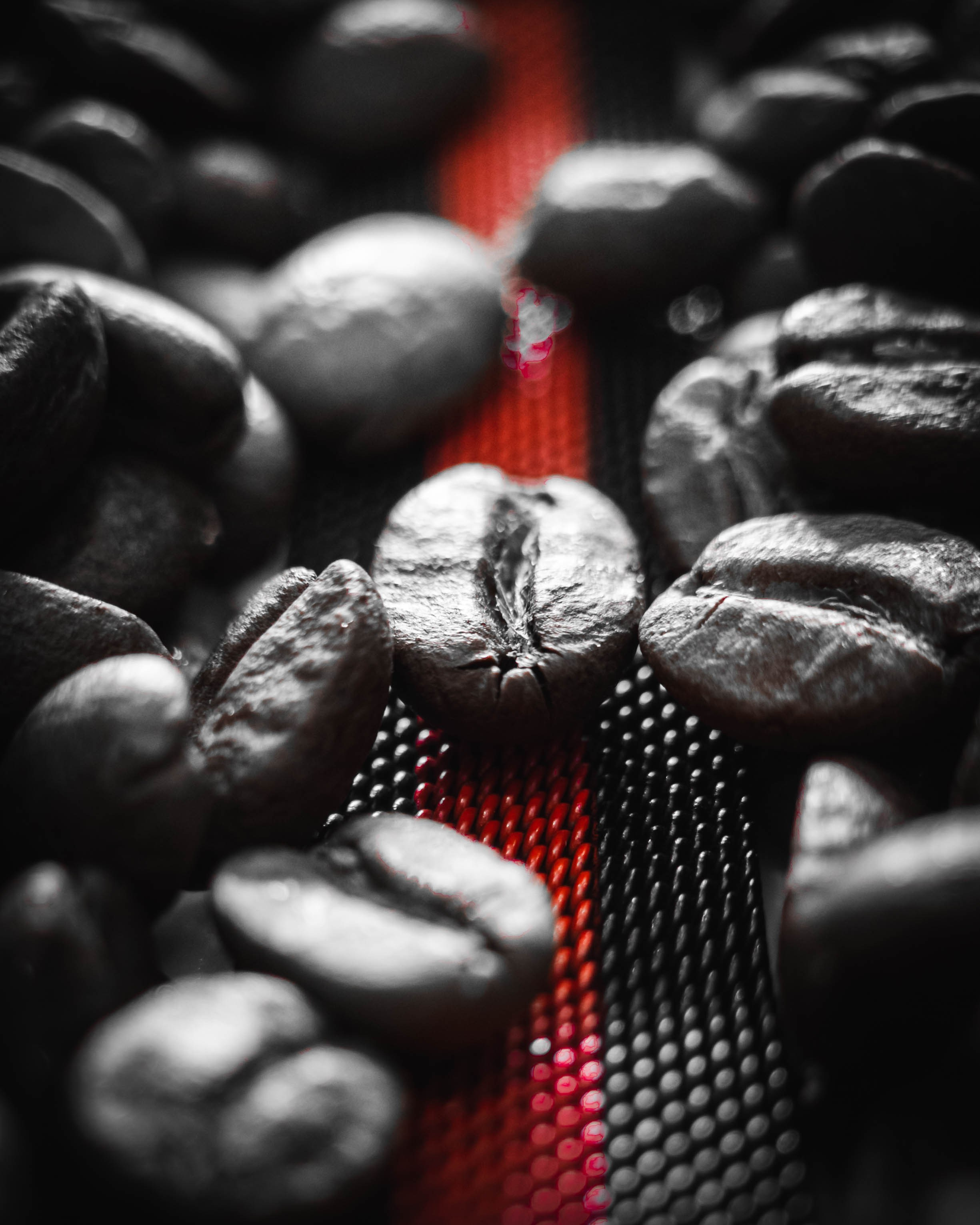 RED. Красный и точка. Олег Романов. Мастер фото по спорту