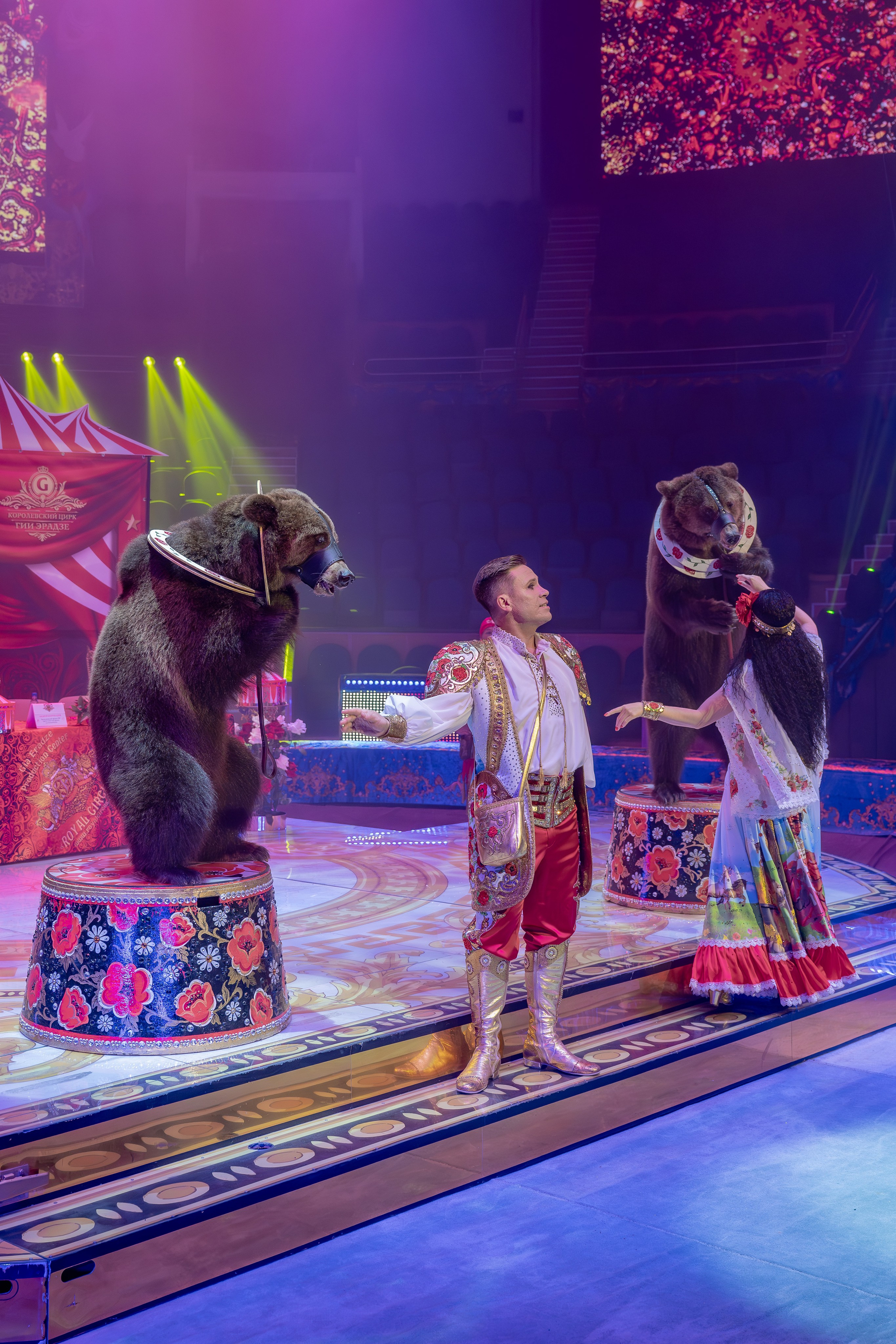 Цирк Гии Эрадзе. Наталья Слесаренко фотограф в Сочи