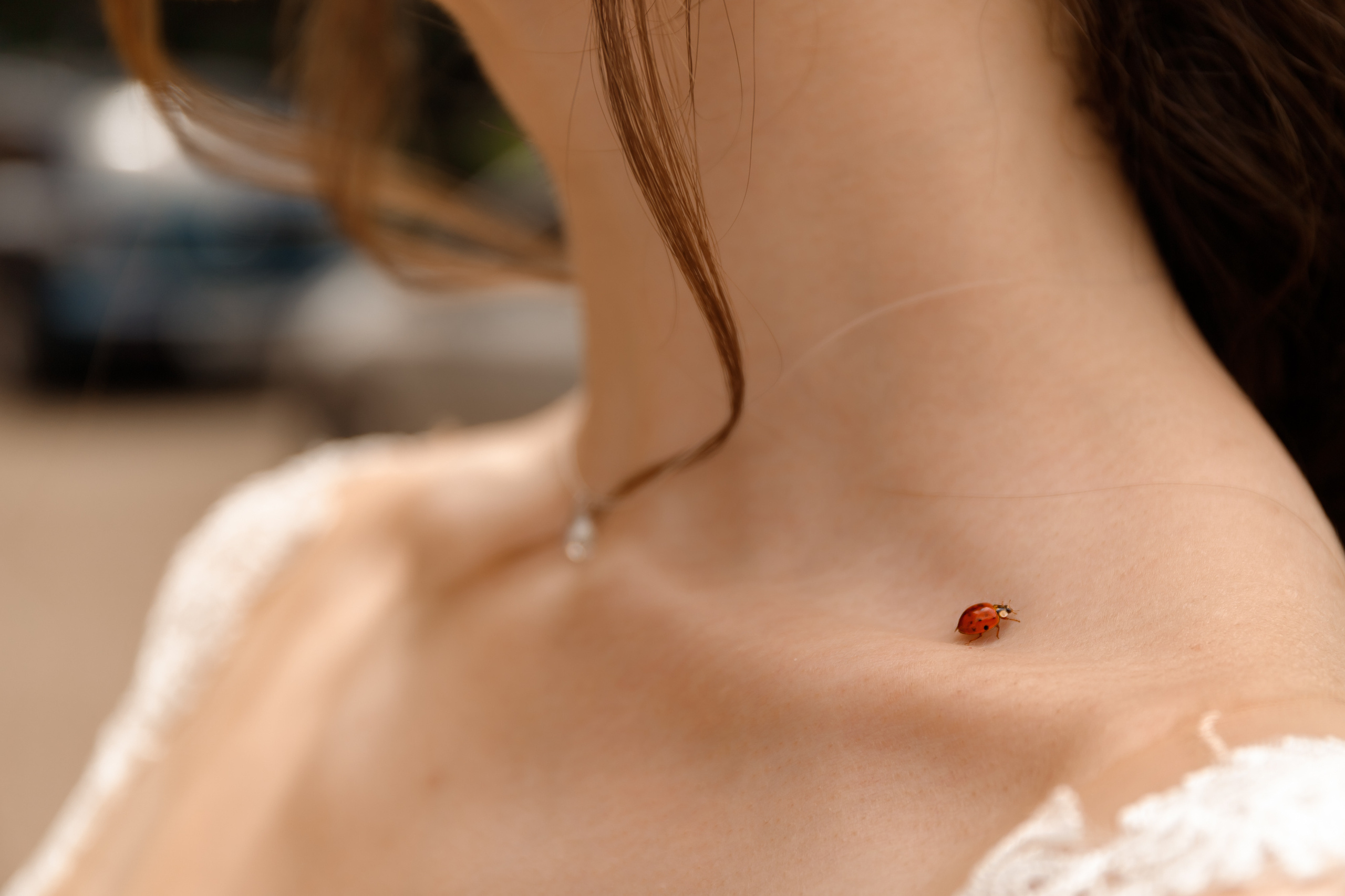 Екатерининский загс краснодар. Виктор Белик, Свадебный Фотограф Краснодар