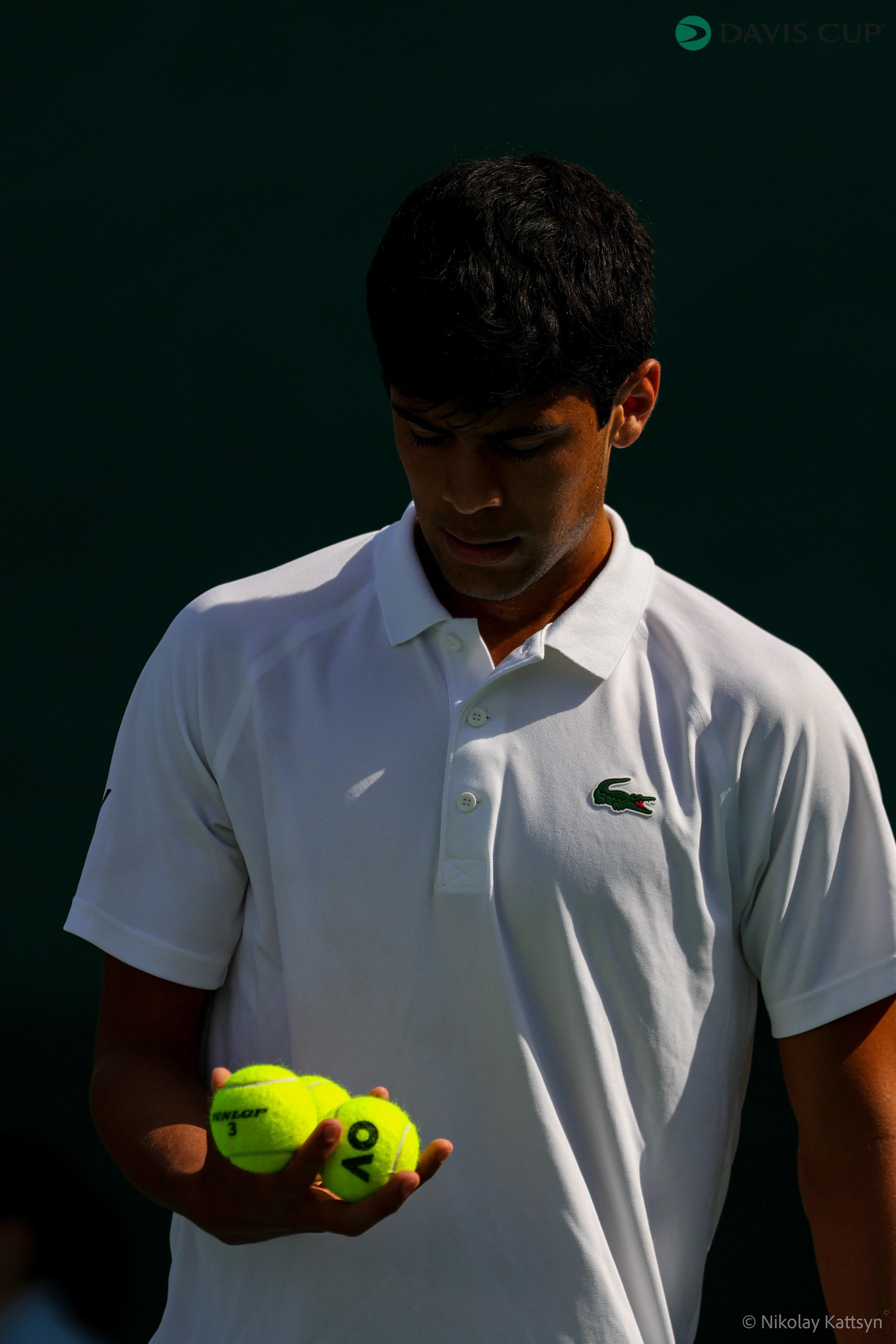 Теннис_ кубок Дэвиса 2024. Фотограф в Москве портреты | репортажи | спорт