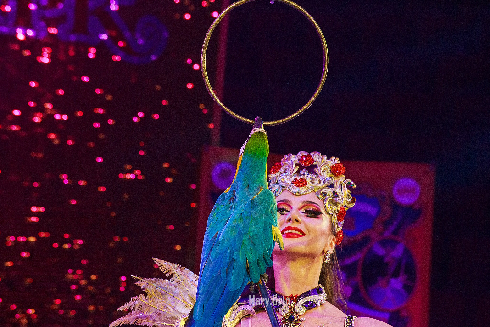 Цирк Гии Эрадзе. Детский и семейный фотограф, фотограф мероприятий Нижний Новгород