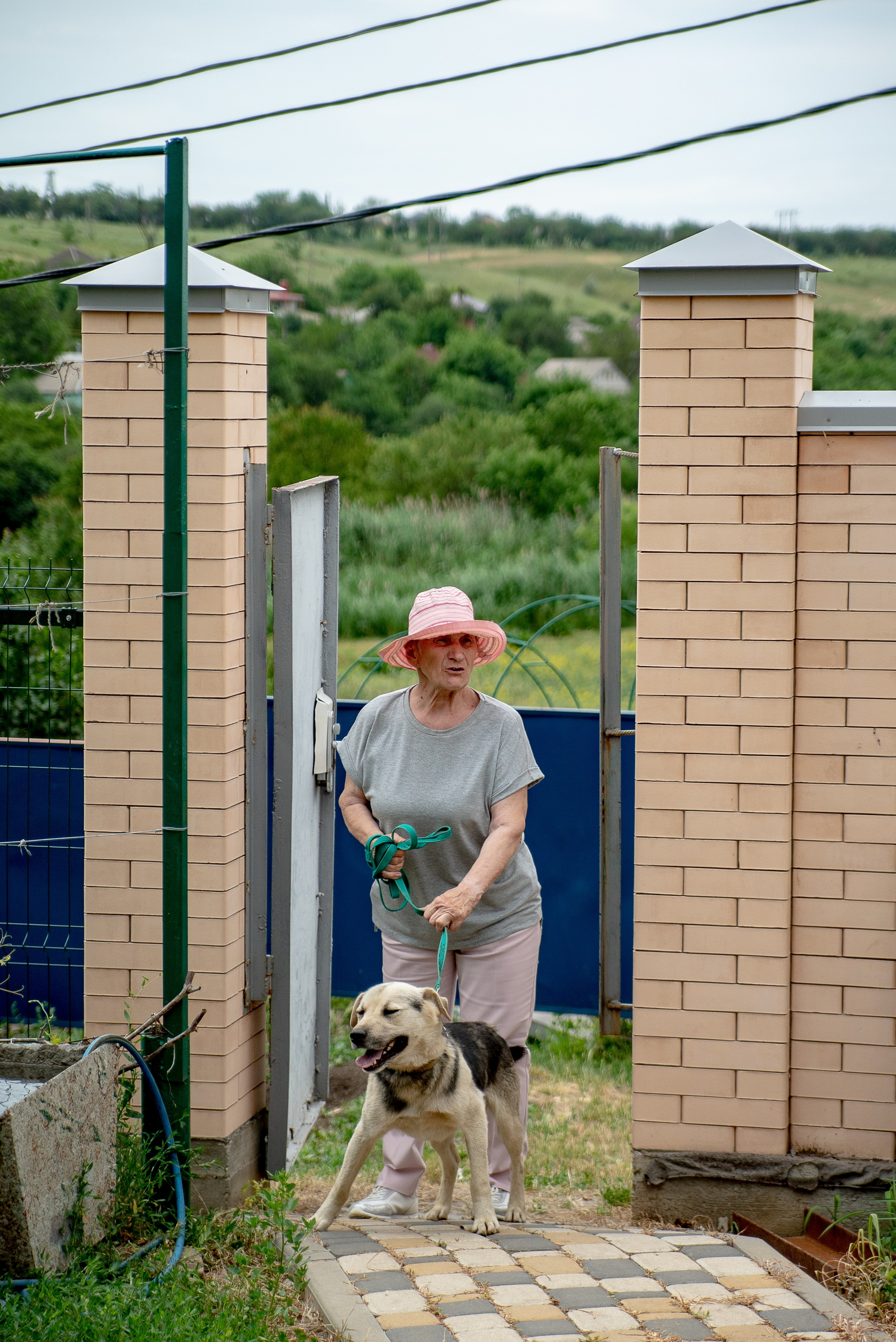Милое торжество. Максим Матвийченко и Виктория Басова профессионалы своего дела