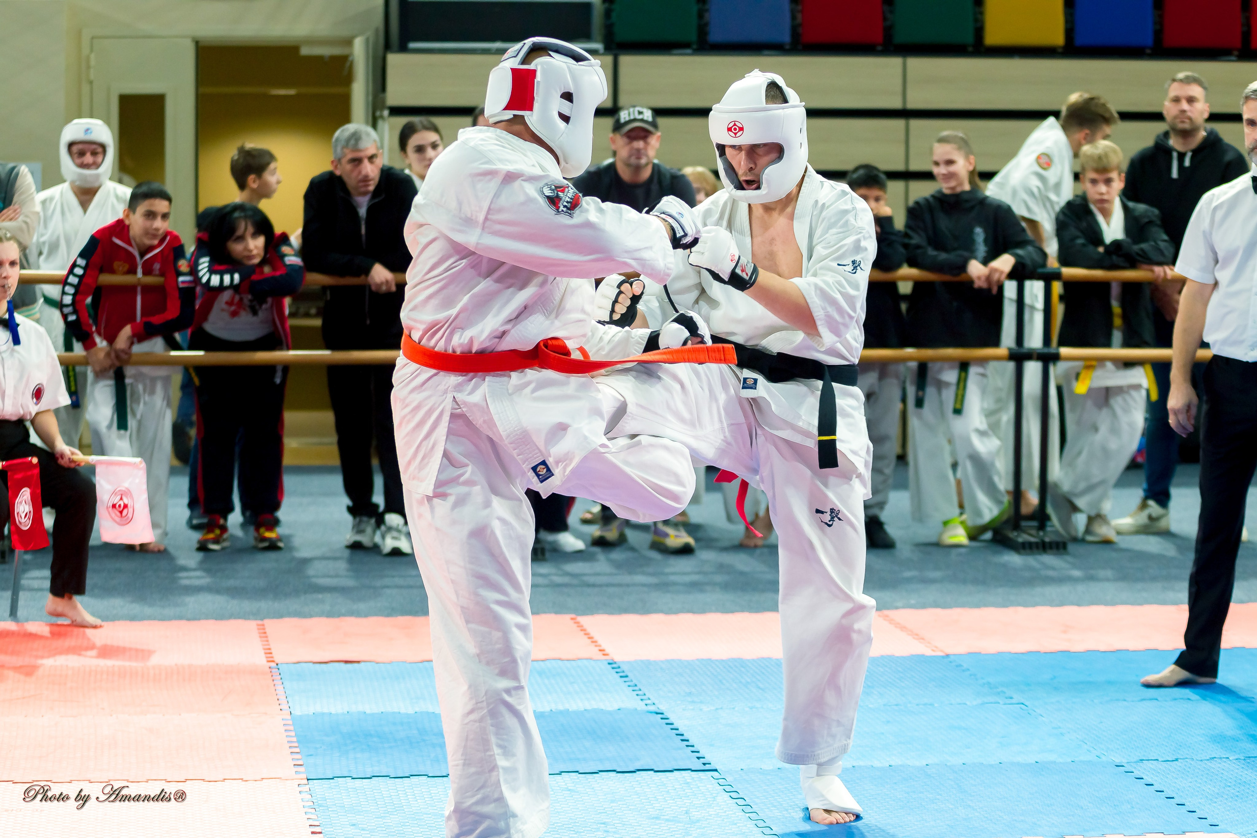 Первенство Московской области по Киокушин в СК «Жаворонки». Репортажная съемка в Москве и области. Анималистика